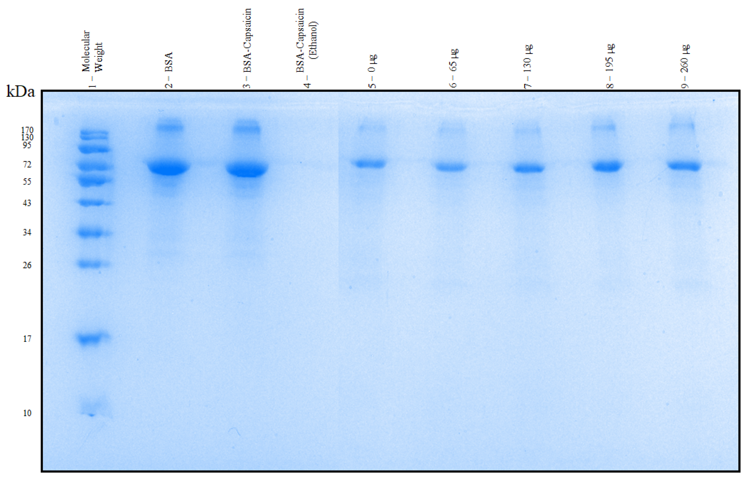 Pharmaceutics 17 01306 g012 Pharmaceutics 17 01306 g012