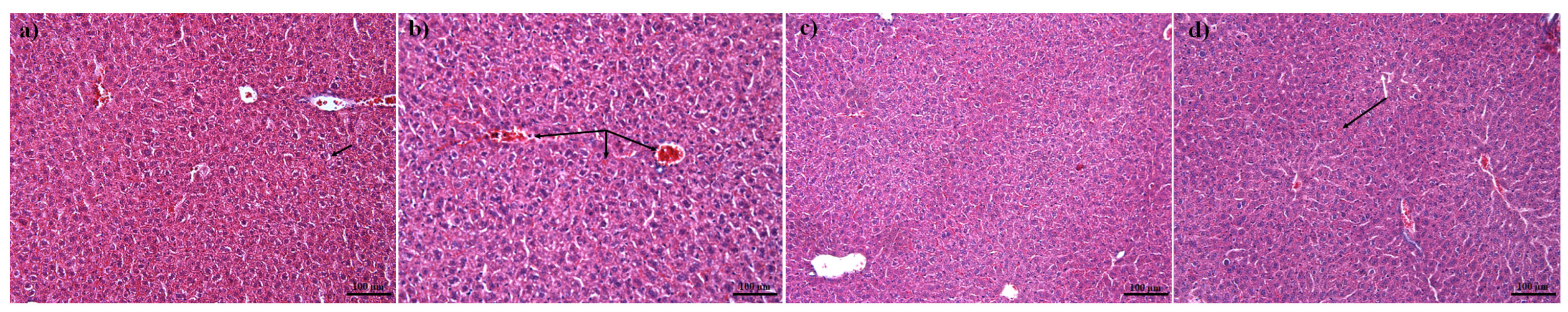 Pharmaceutics 17 01306 g013 Pharmaceutics 17 01306 g013