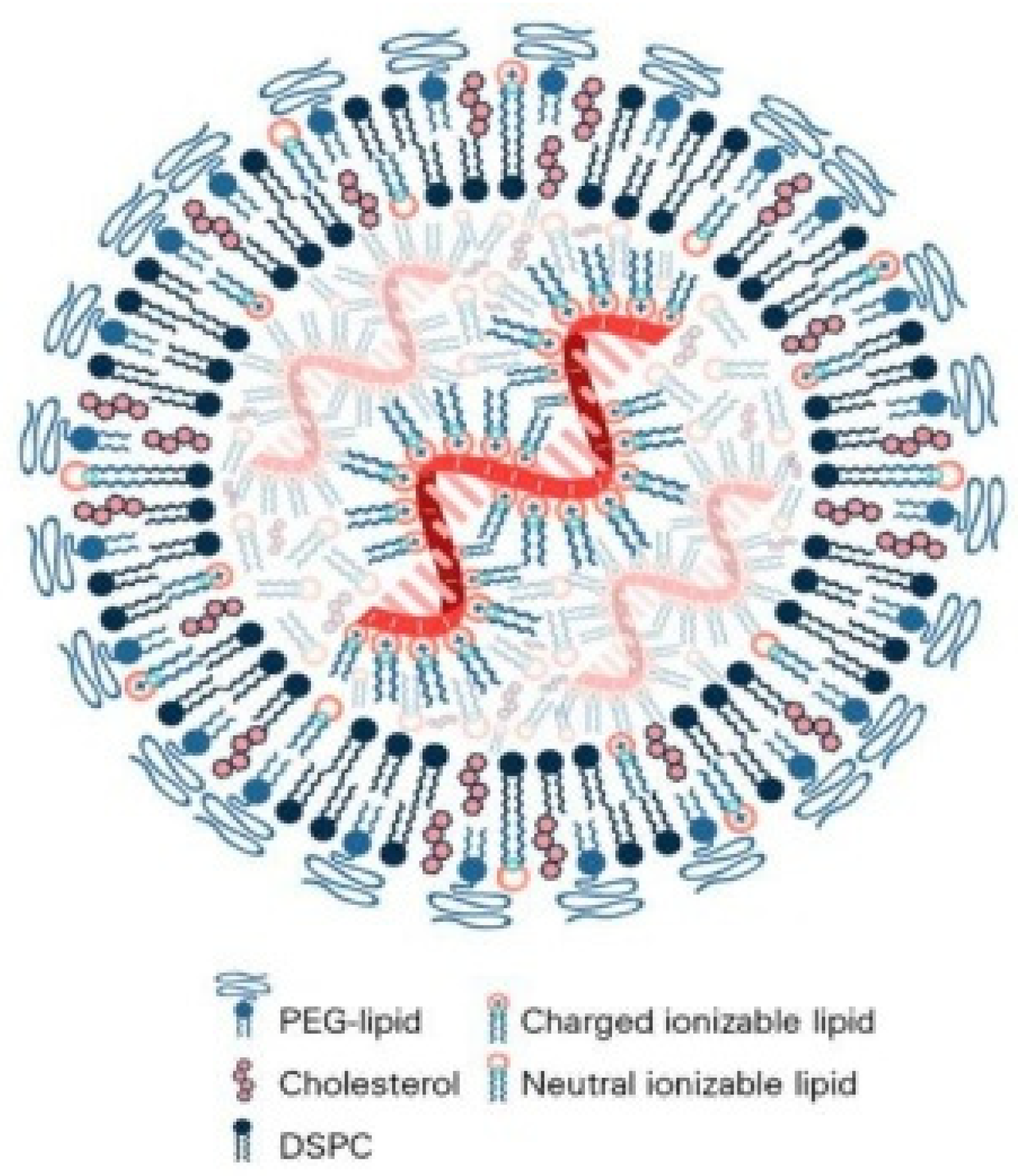 Pharmaceutics 17 01309 g001
