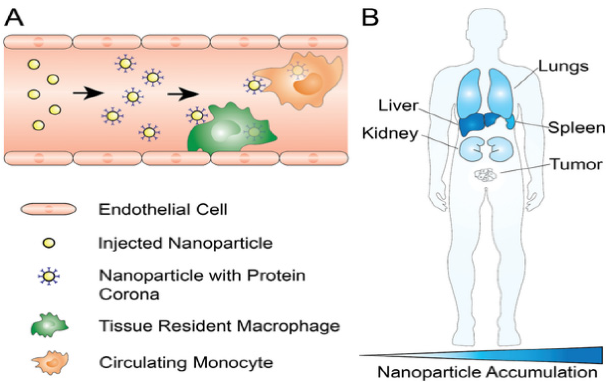 Pharmaceutics 17 01309 g004