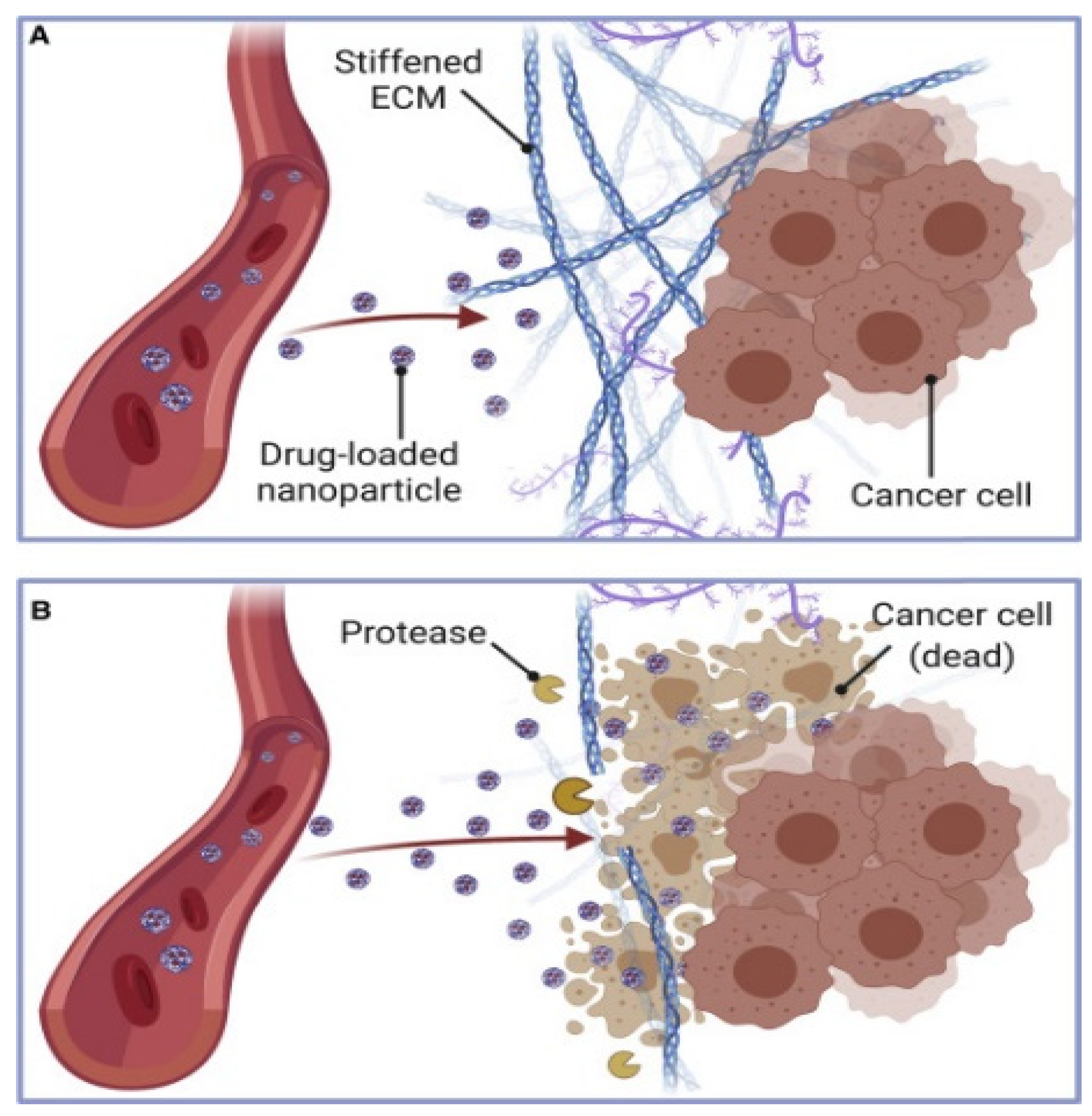 Pharmaceutics 17 01309 g005