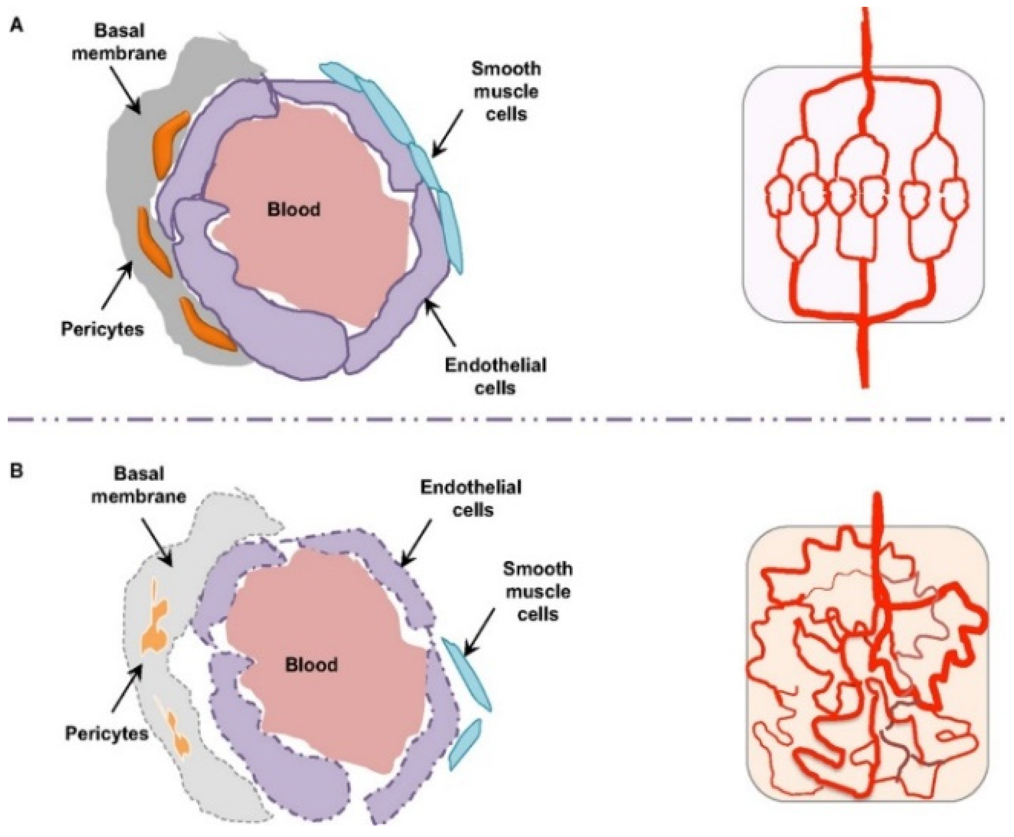 Pharmaceutics 17 01309 g006