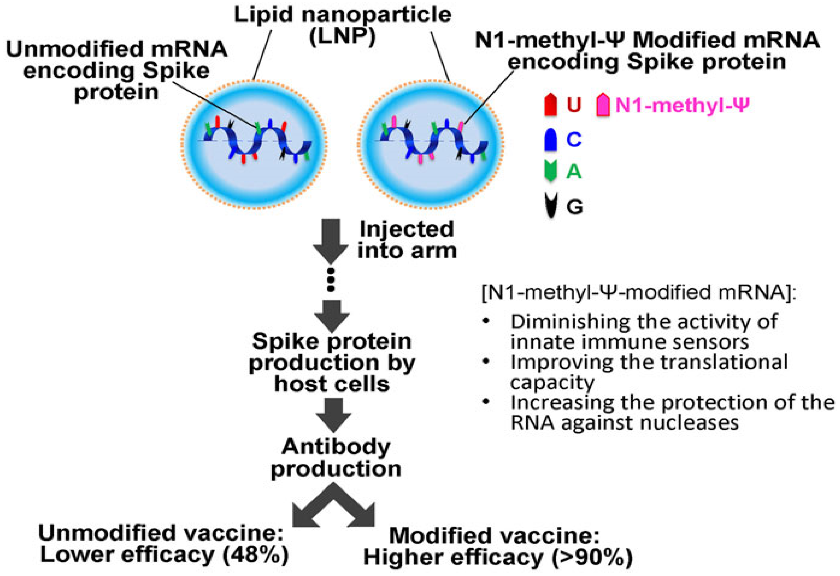 Pharmaceutics 17 01309 g008