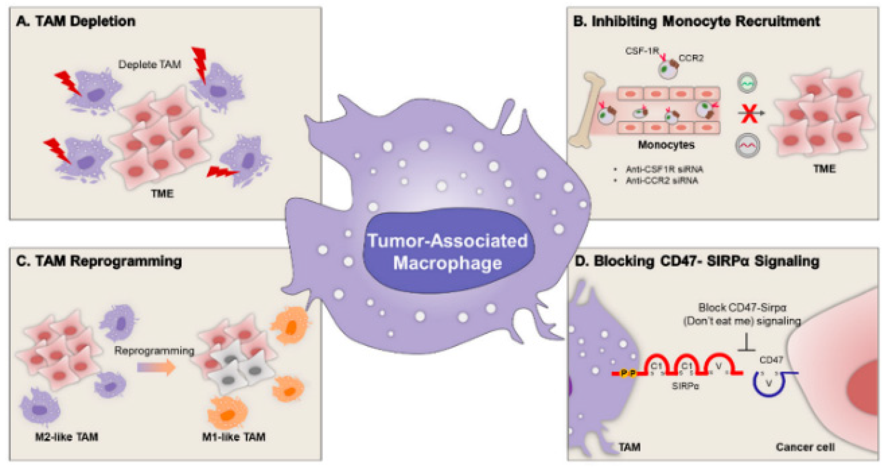 Pharmaceutics 17 01309 g010