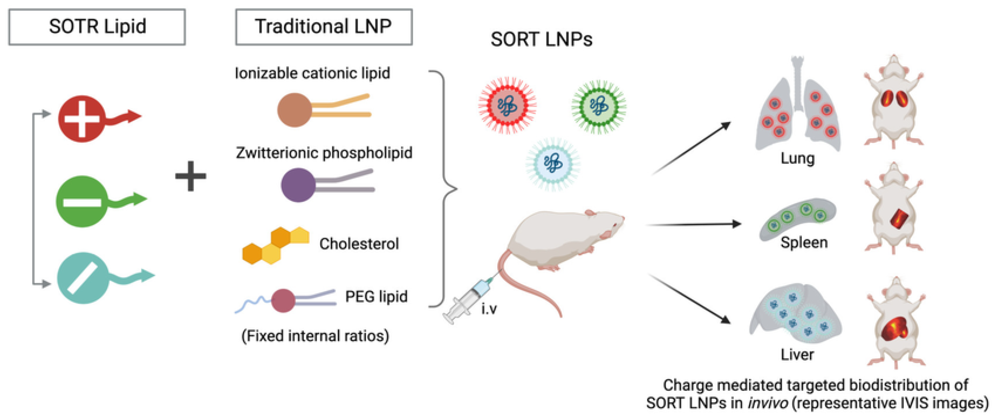 Pharmaceutics 17 01309 g011