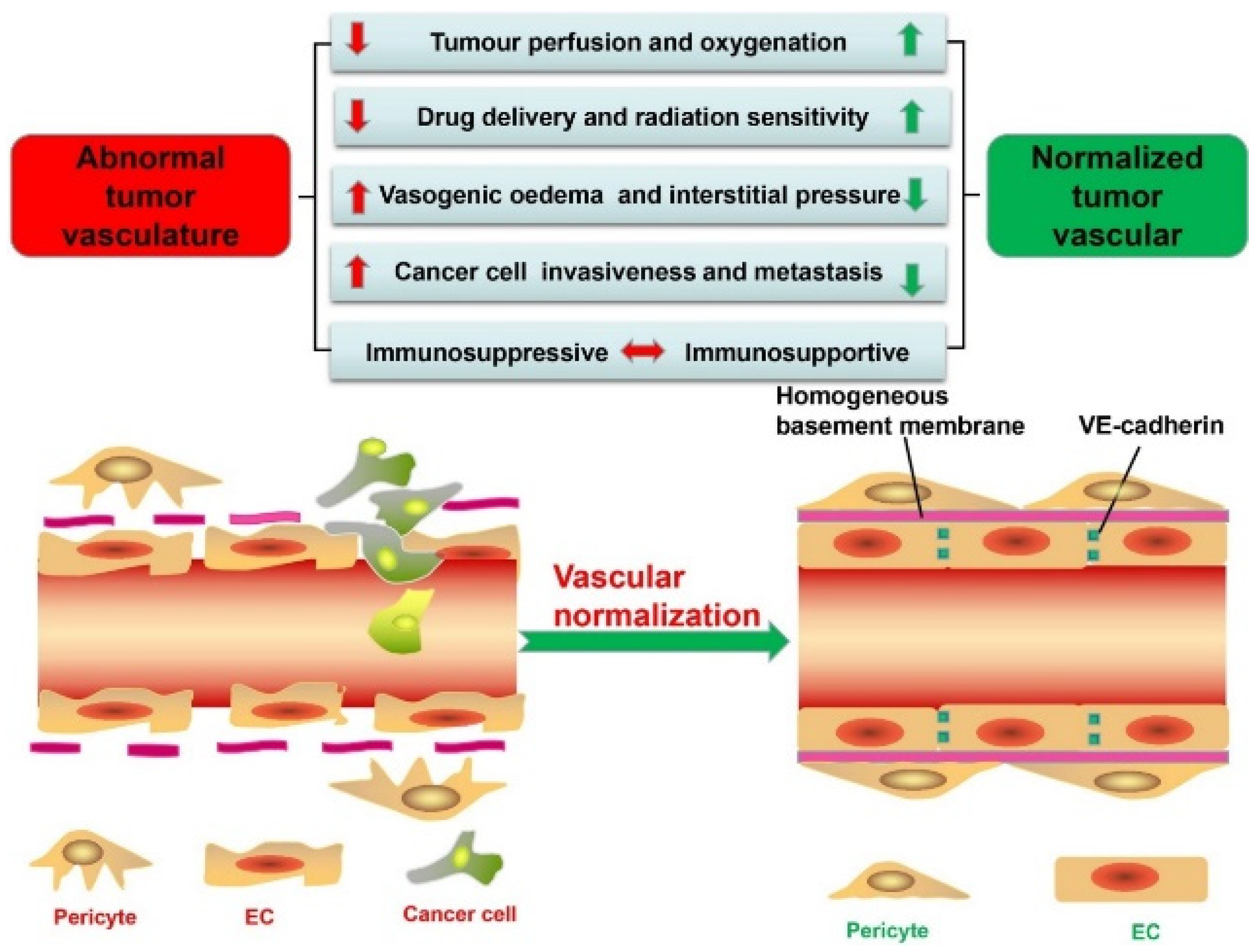Pharmaceutics 17 01309 g012
