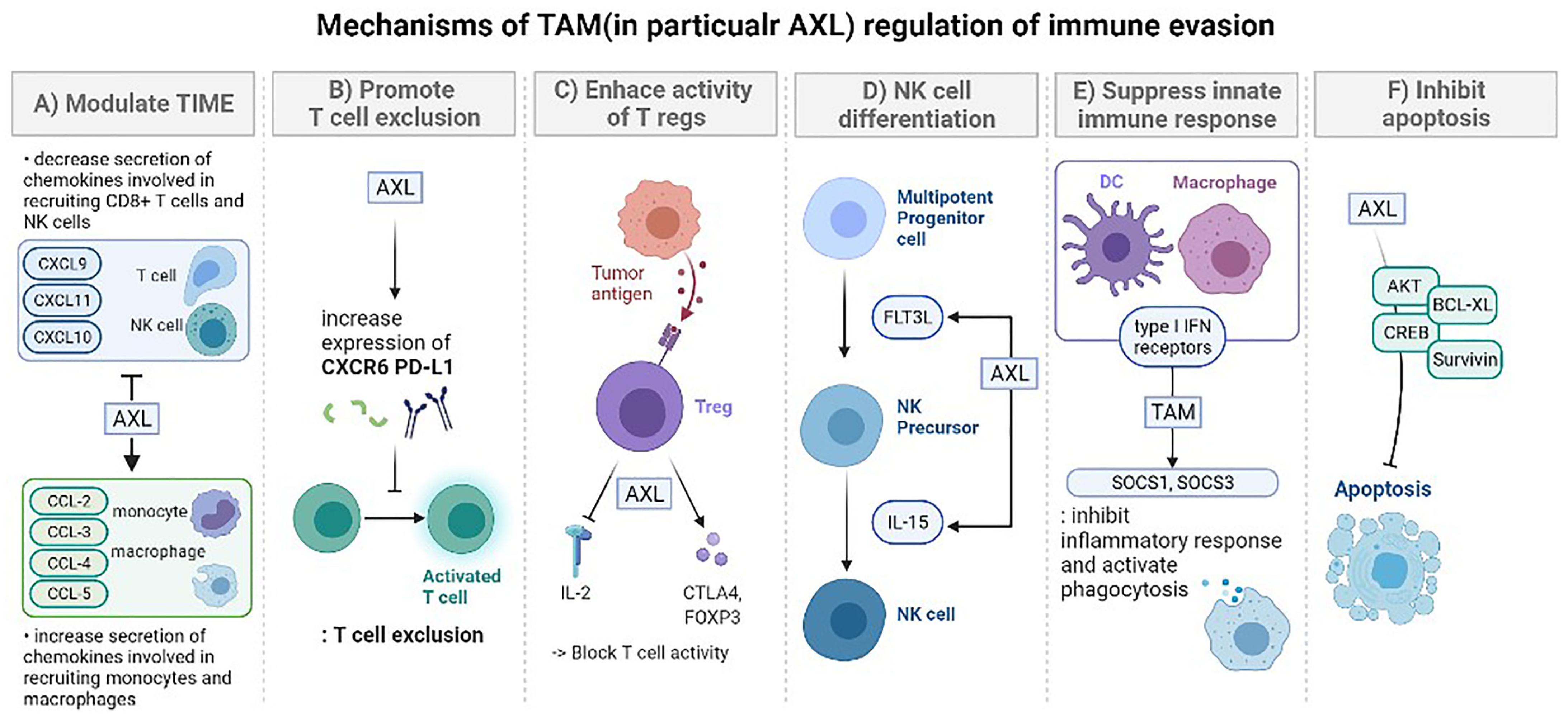 Pharmaceutics 17 01309 g014
