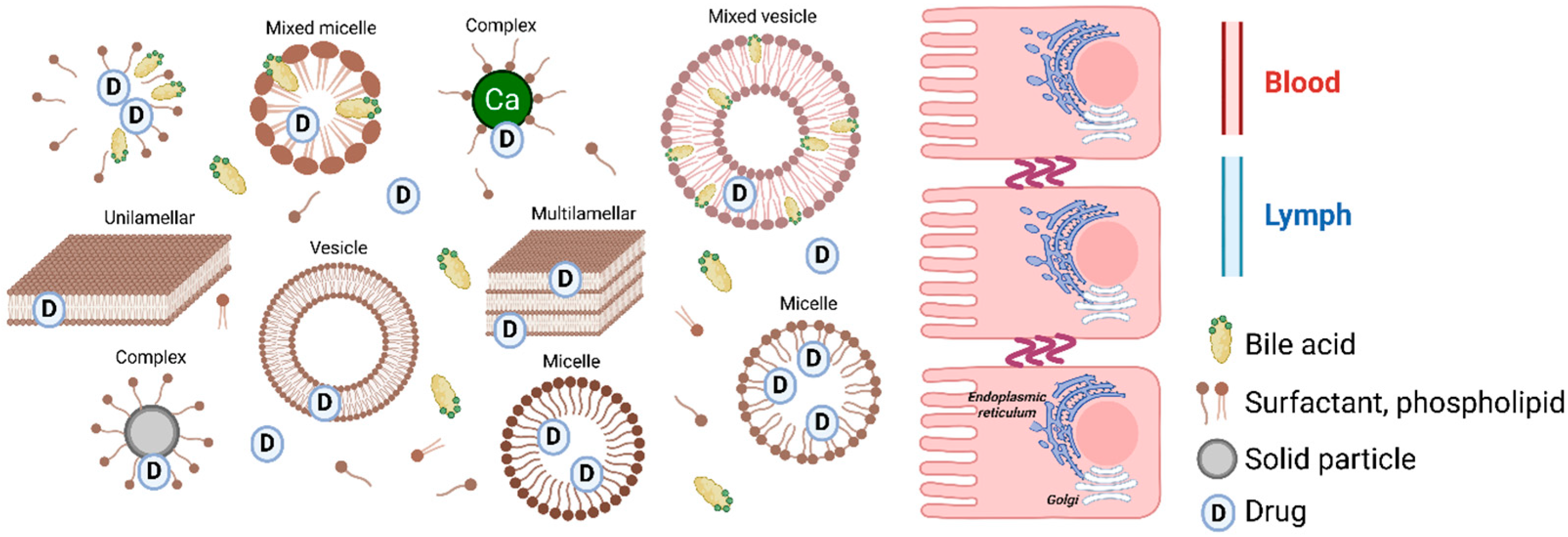 Pharmaceutics 17 01310 g003
