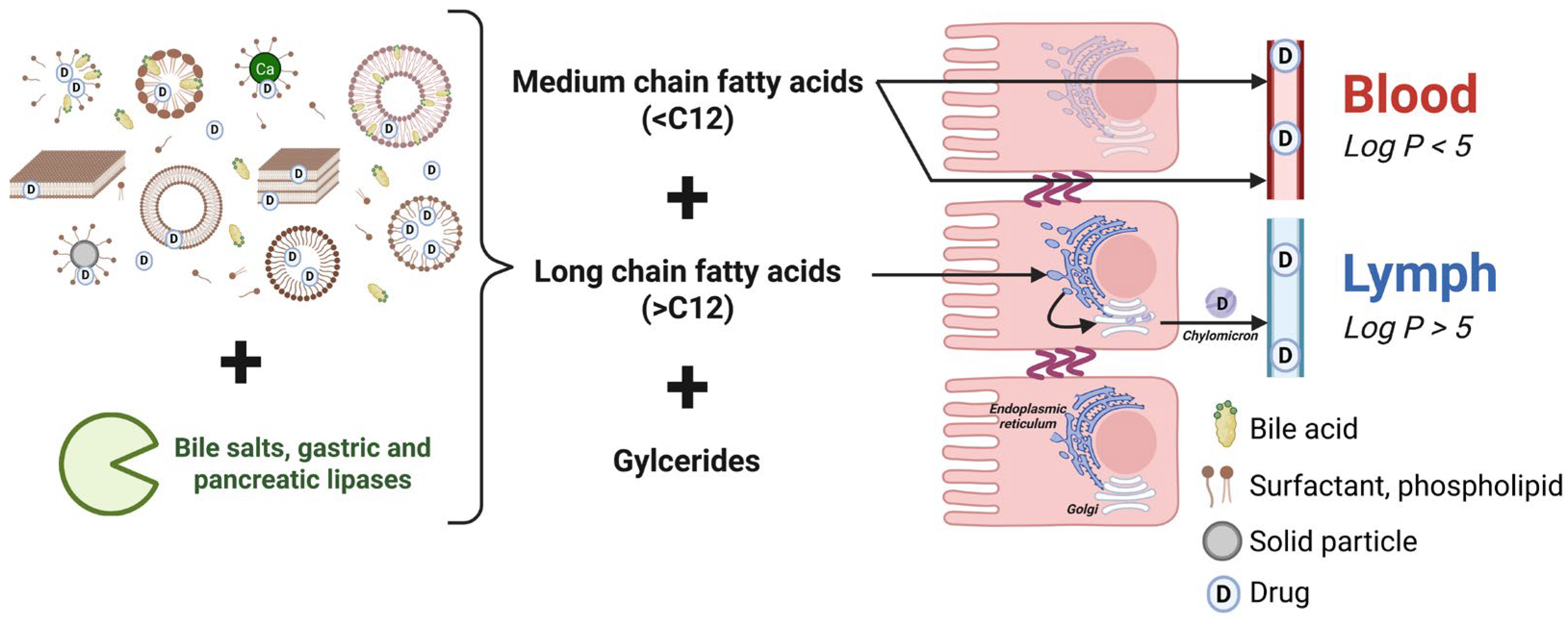 Pharmaceutics 17 01310 g004
