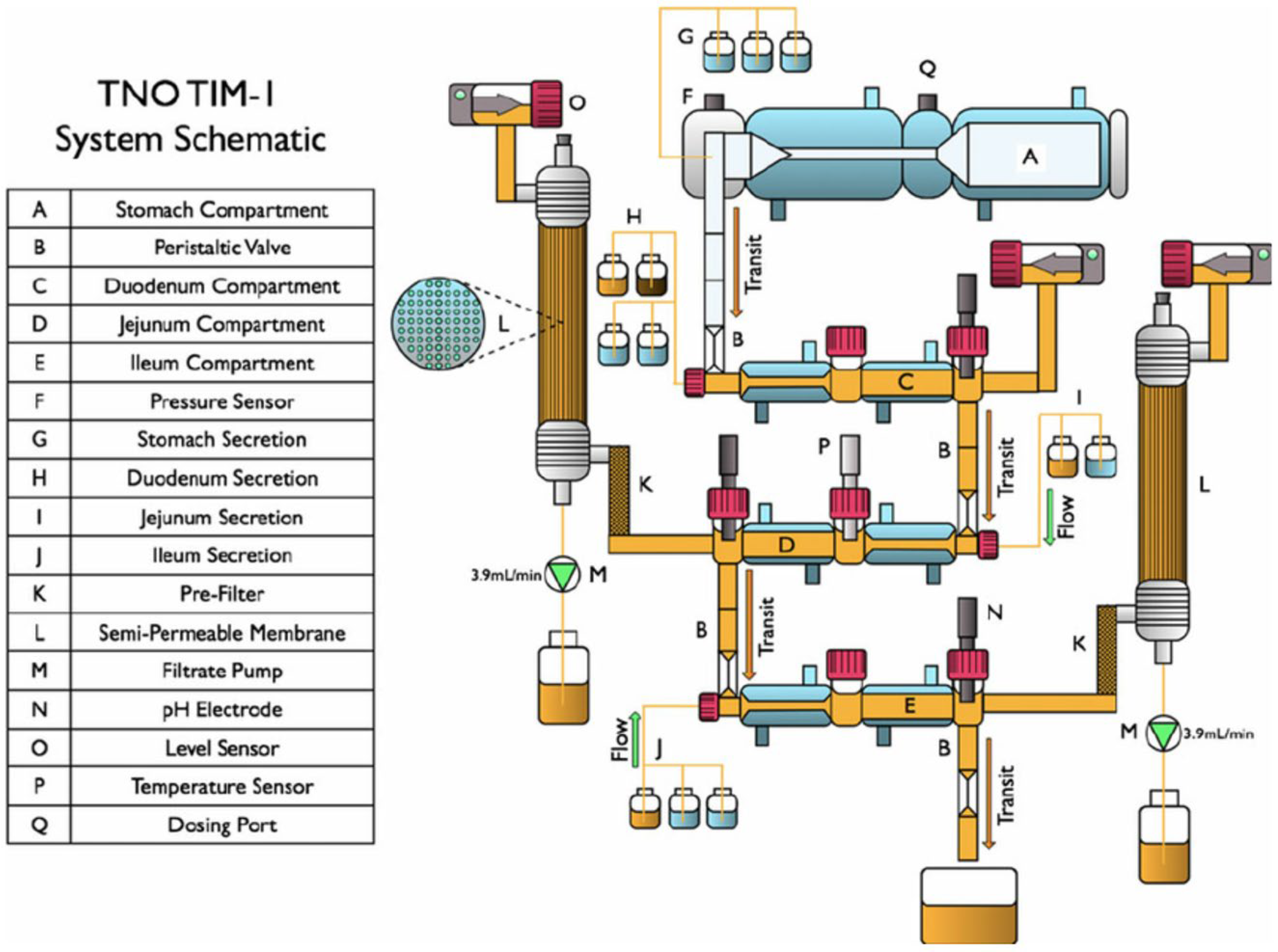 Pharmaceutics 17 01310 g008