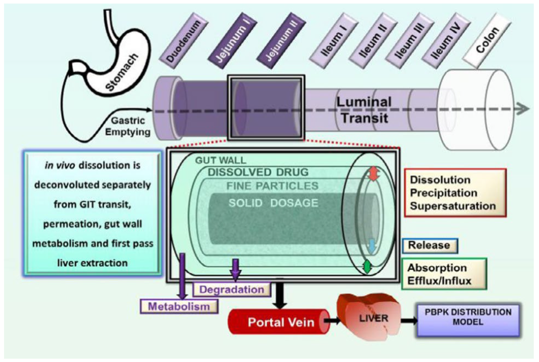 Pharmaceutics 17 01310 g011