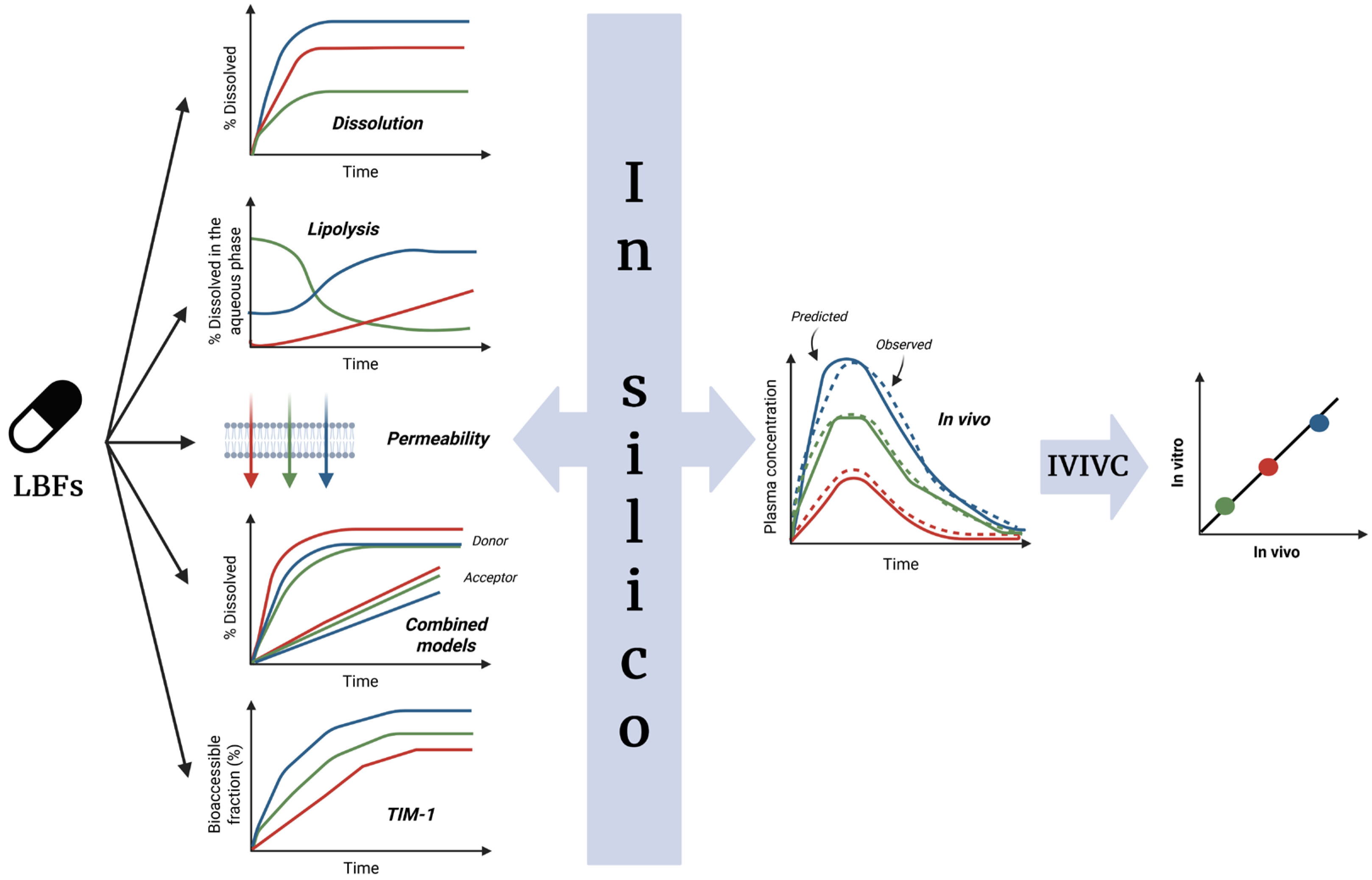 Pharmaceutics 17 01310 g013