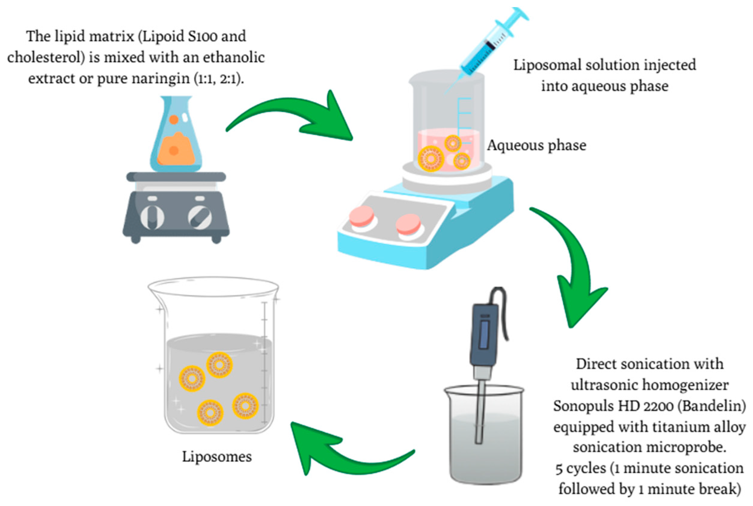 Pharmaceutics 17 01311 g003