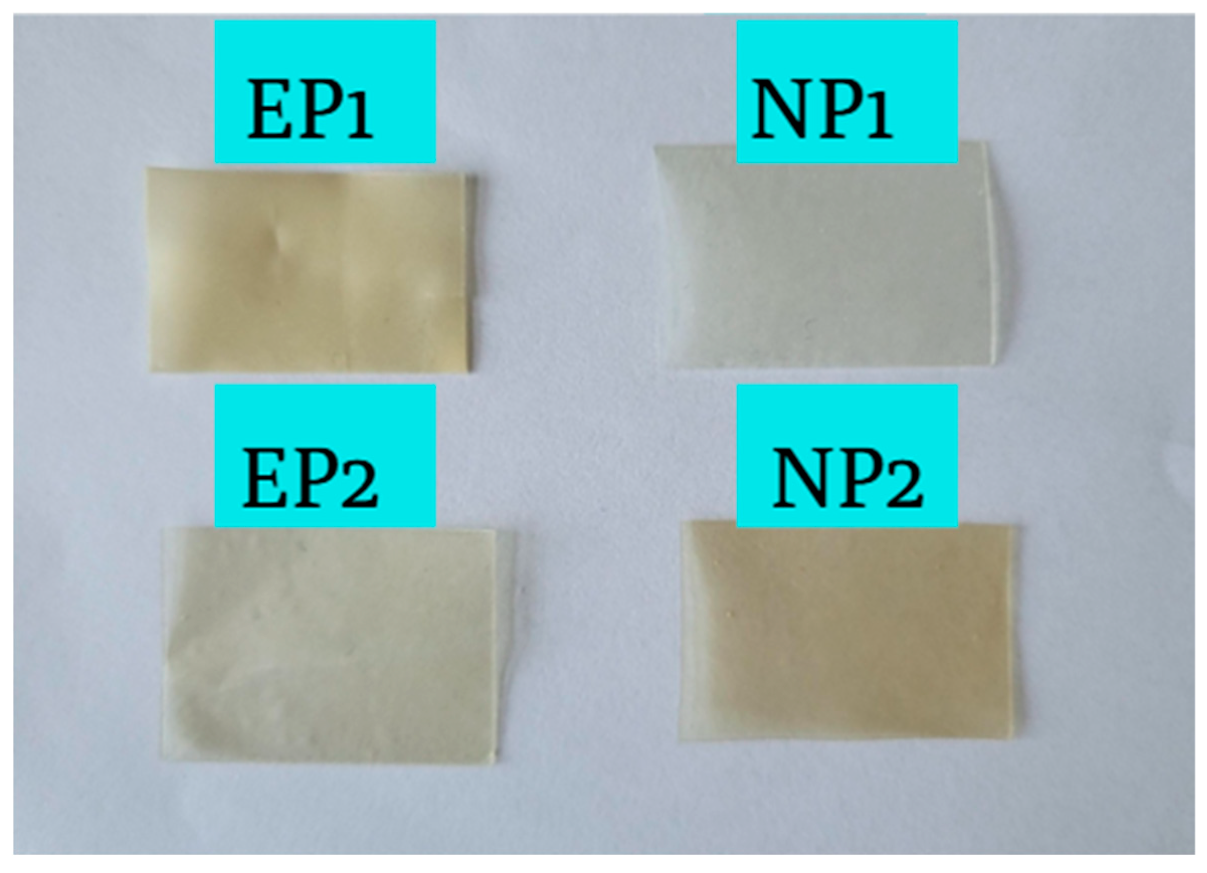 Pharmaceutics 17 01311 g008