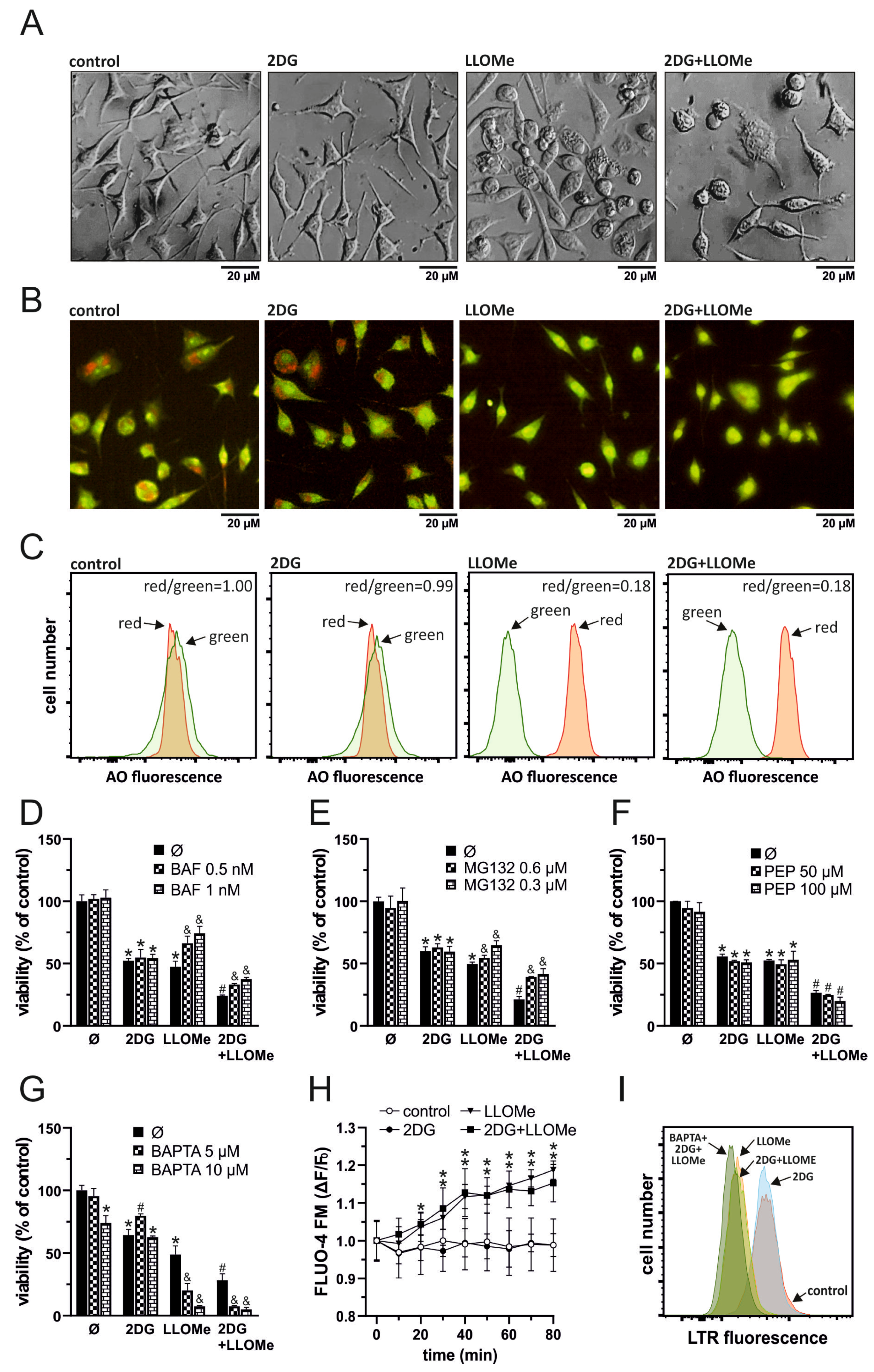 Pharmaceutics 17 01312 g003