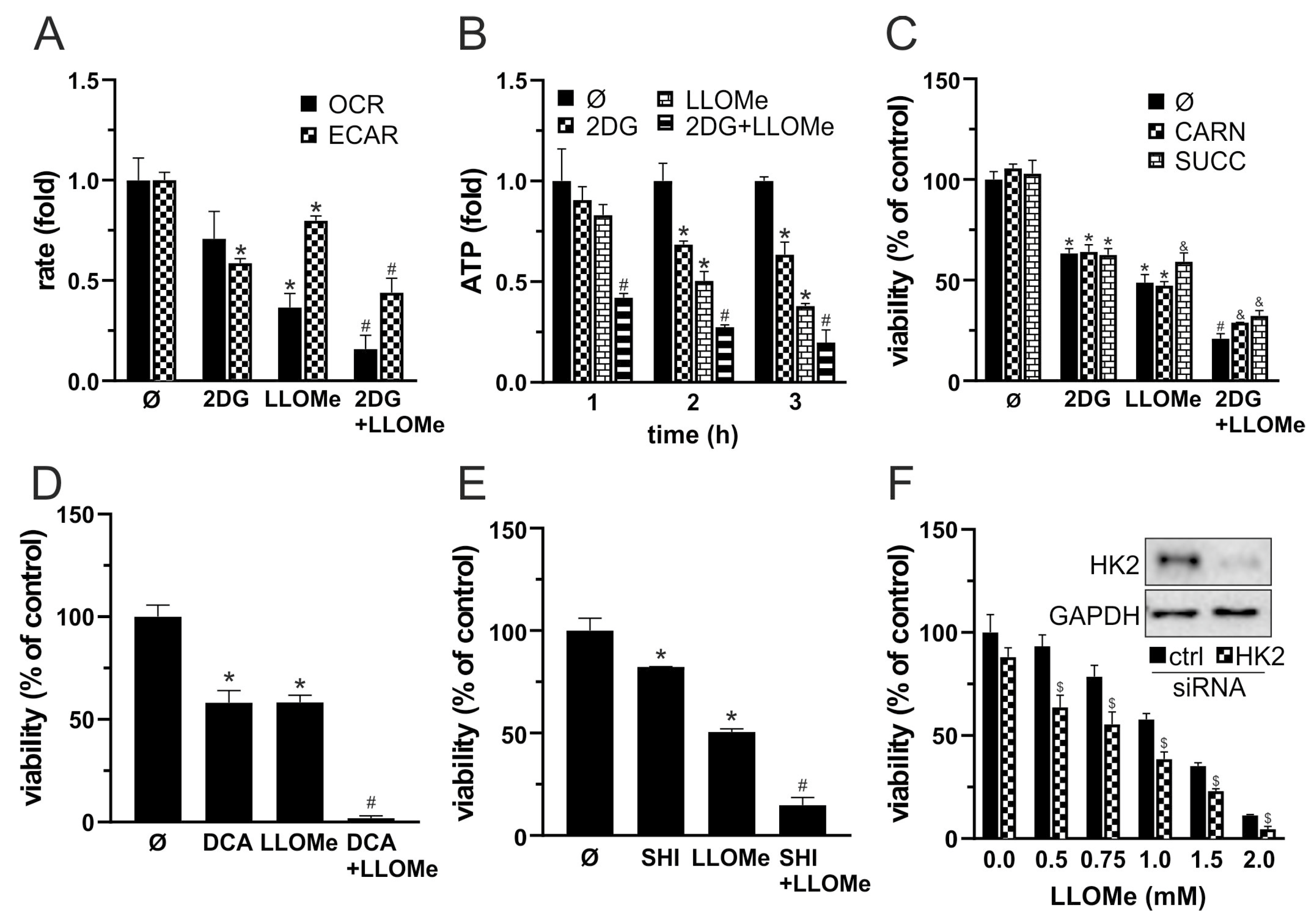 Pharmaceutics 17 01312 g005
