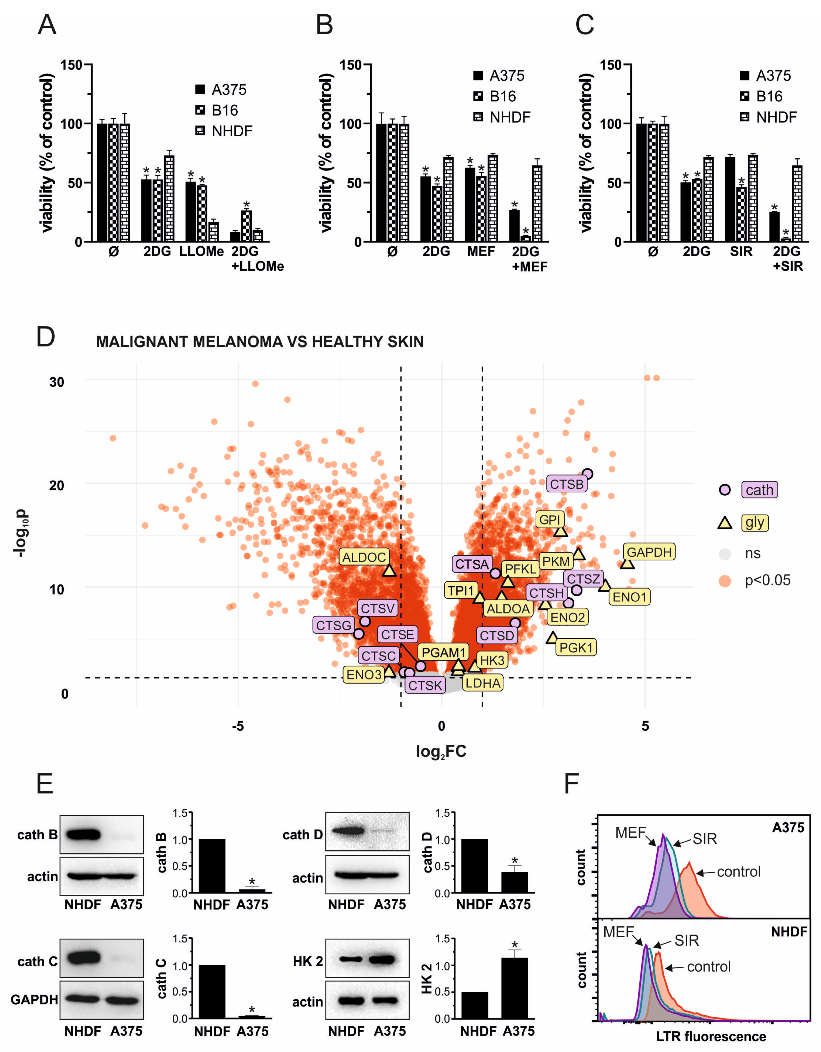 Pharmaceutics 17 01312 g006
