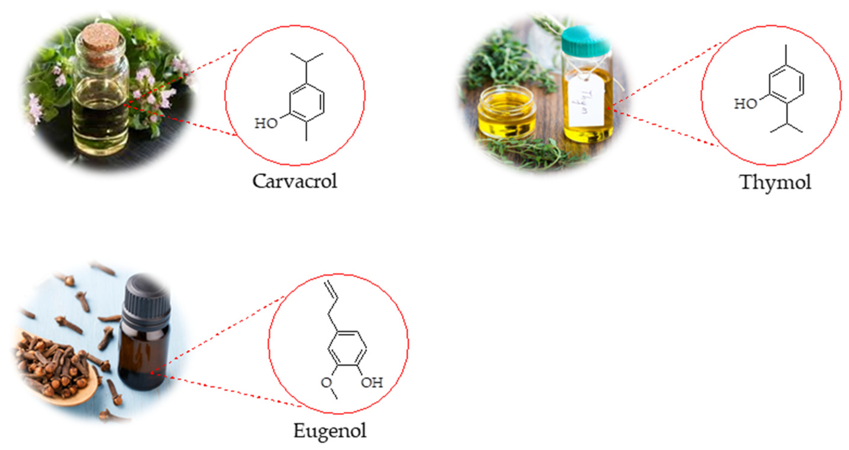 Pharmaceutics 17 01313 g001