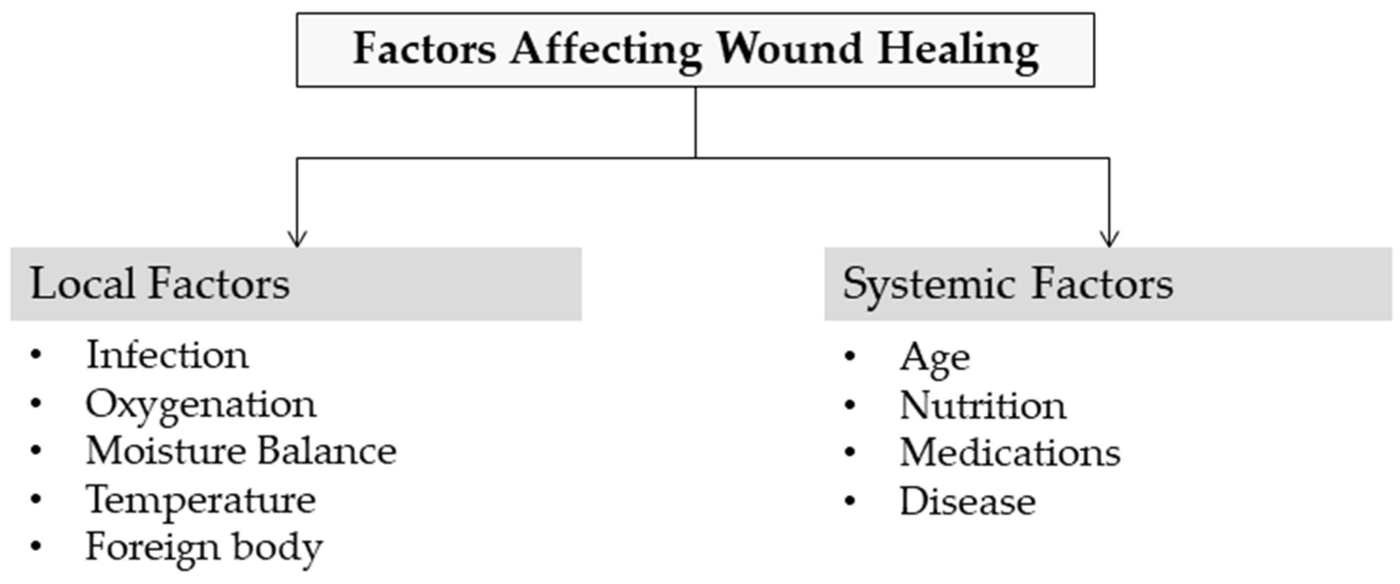 Pharmaceutics 17 01313 g003