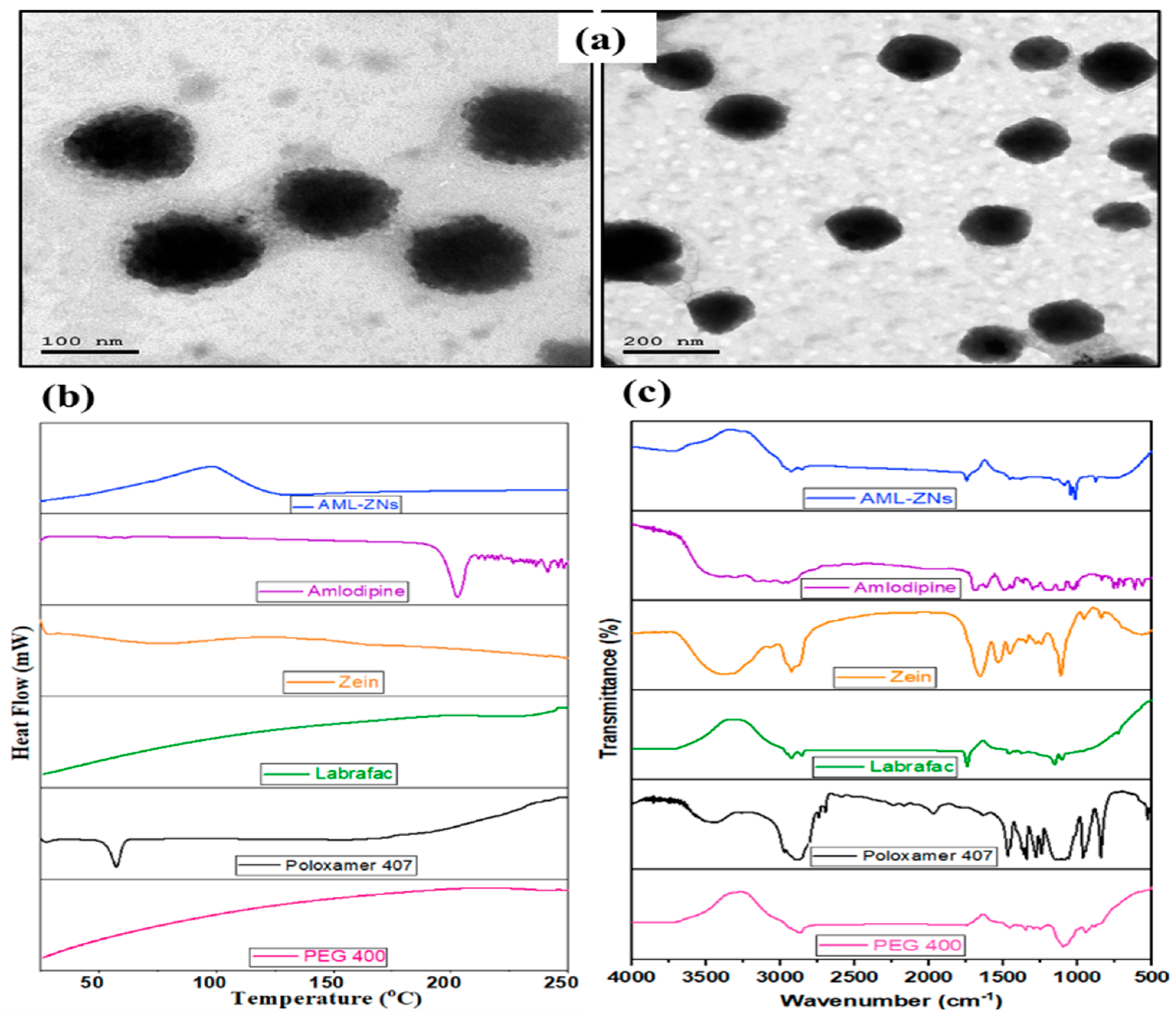 Pharmaceutics 17 01314 g003 Pharmaceutics 17 01314 g003