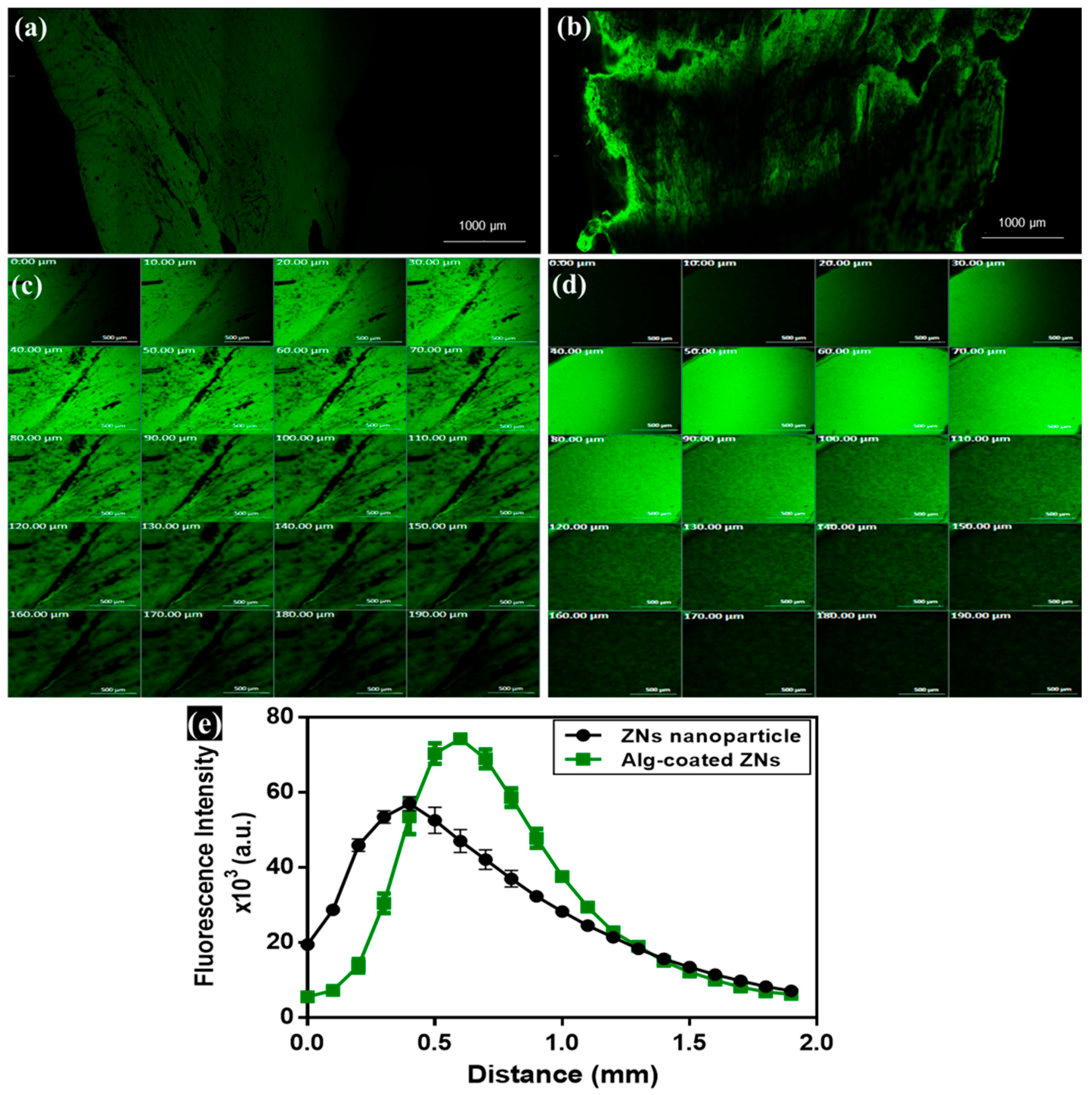 Pharmaceutics 17 01314 g006 Pharmaceutics 17 01314 g006