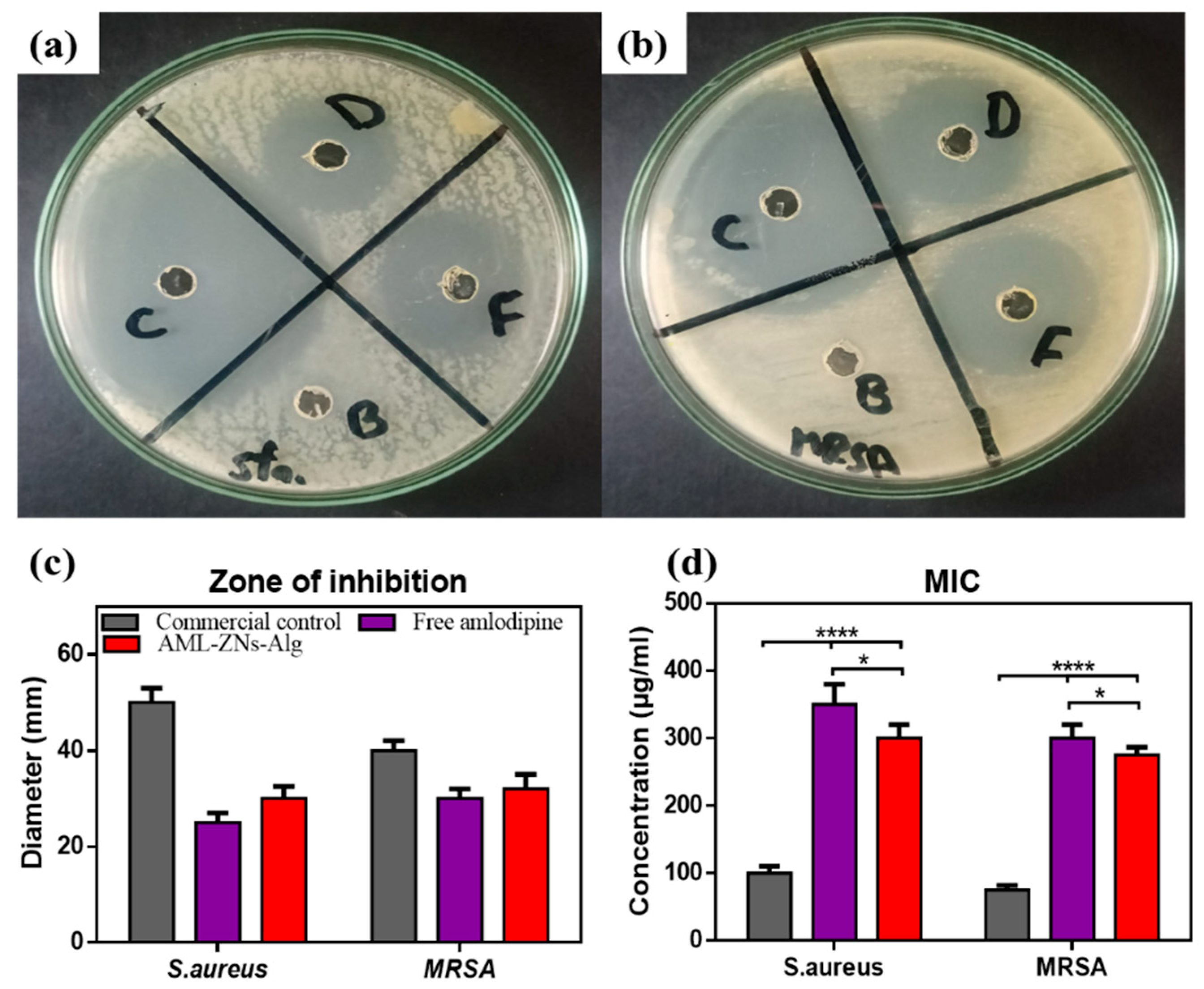 Pharmaceutics 17 01314 g008 Pharmaceutics 17 01314 g008