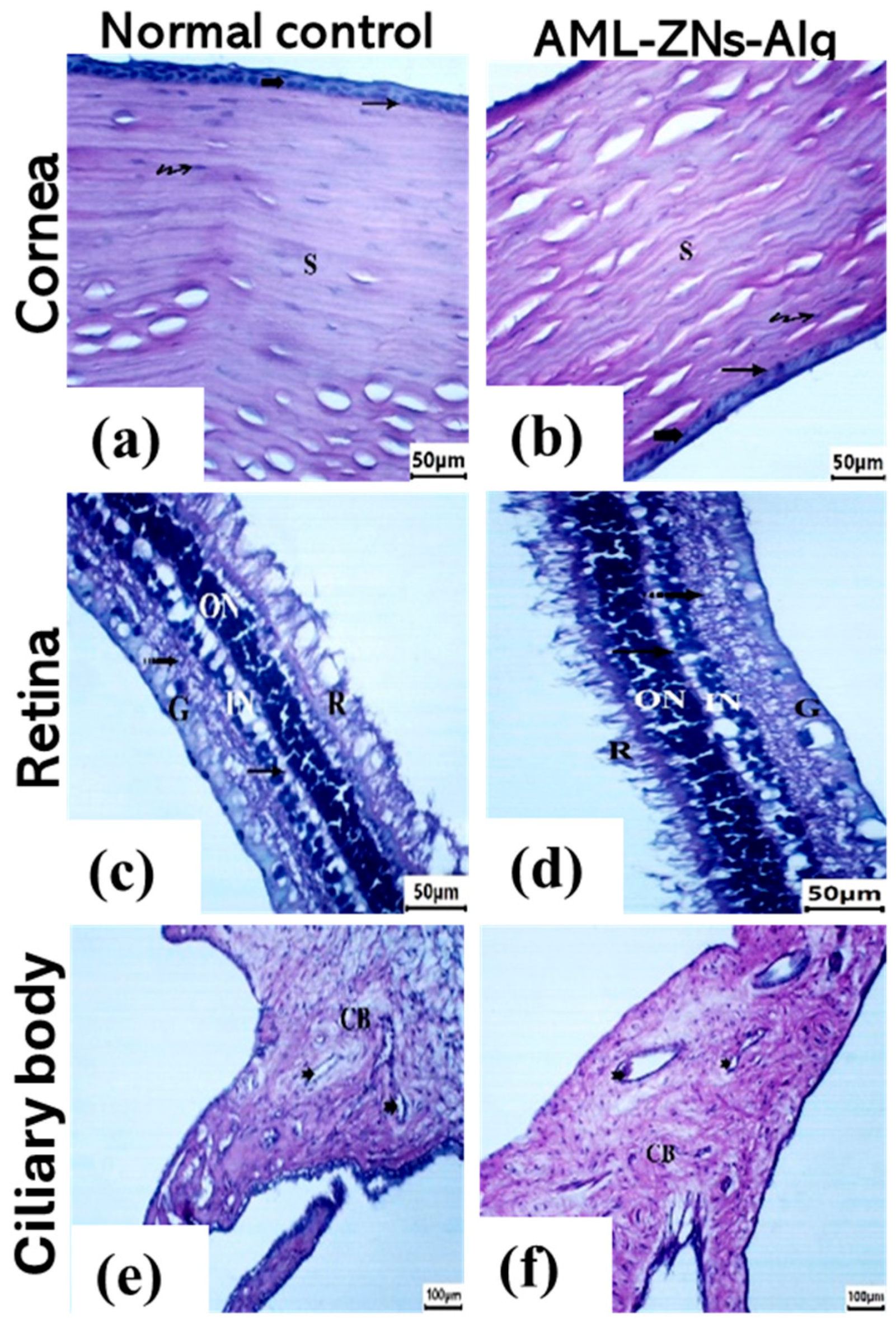 Pharmaceutics 17 01314 g009 Pharmaceutics 17 01314 g009