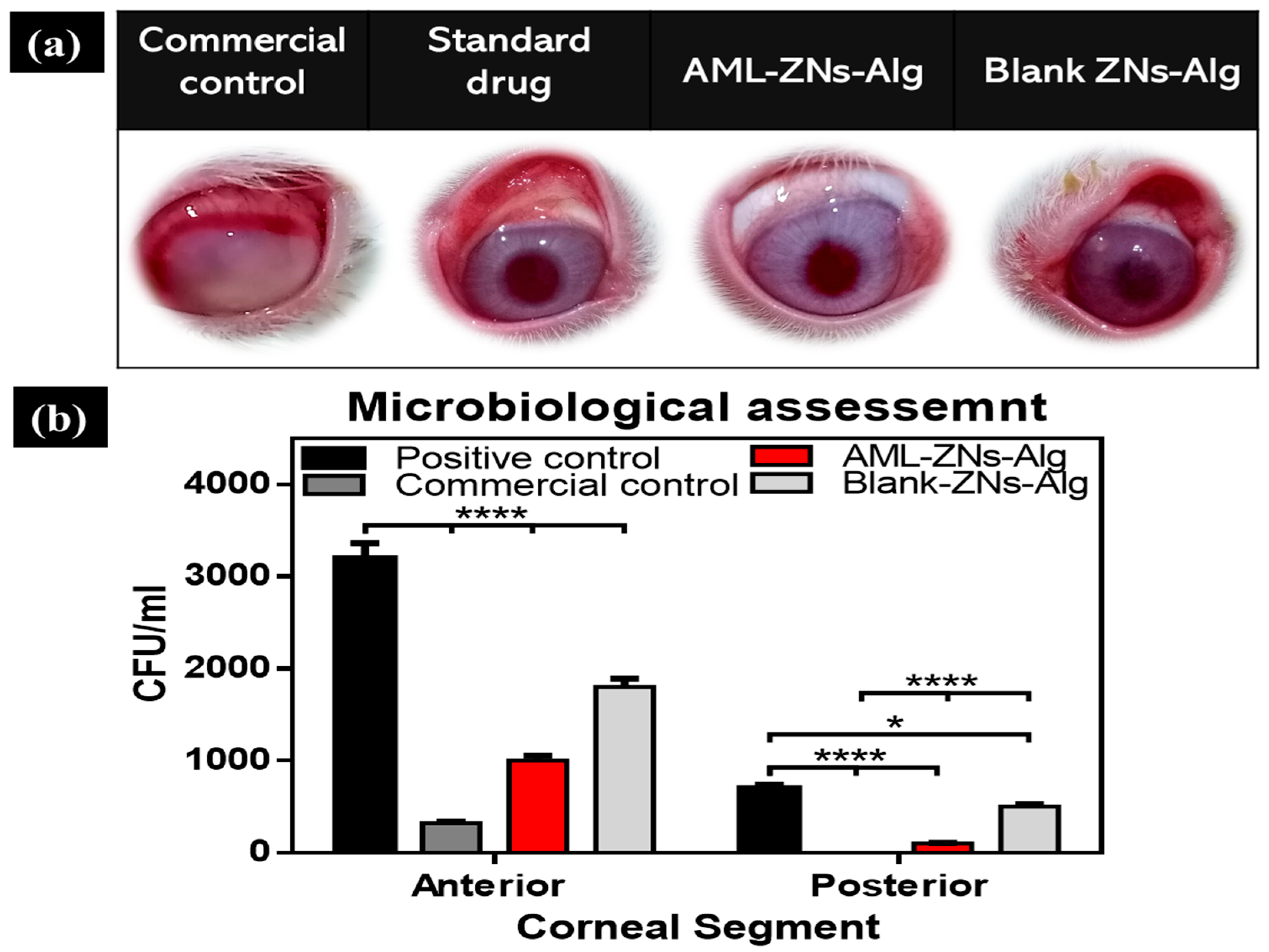 Pharmaceutics 17 01314 g010 Pharmaceutics 17 01314 g010
