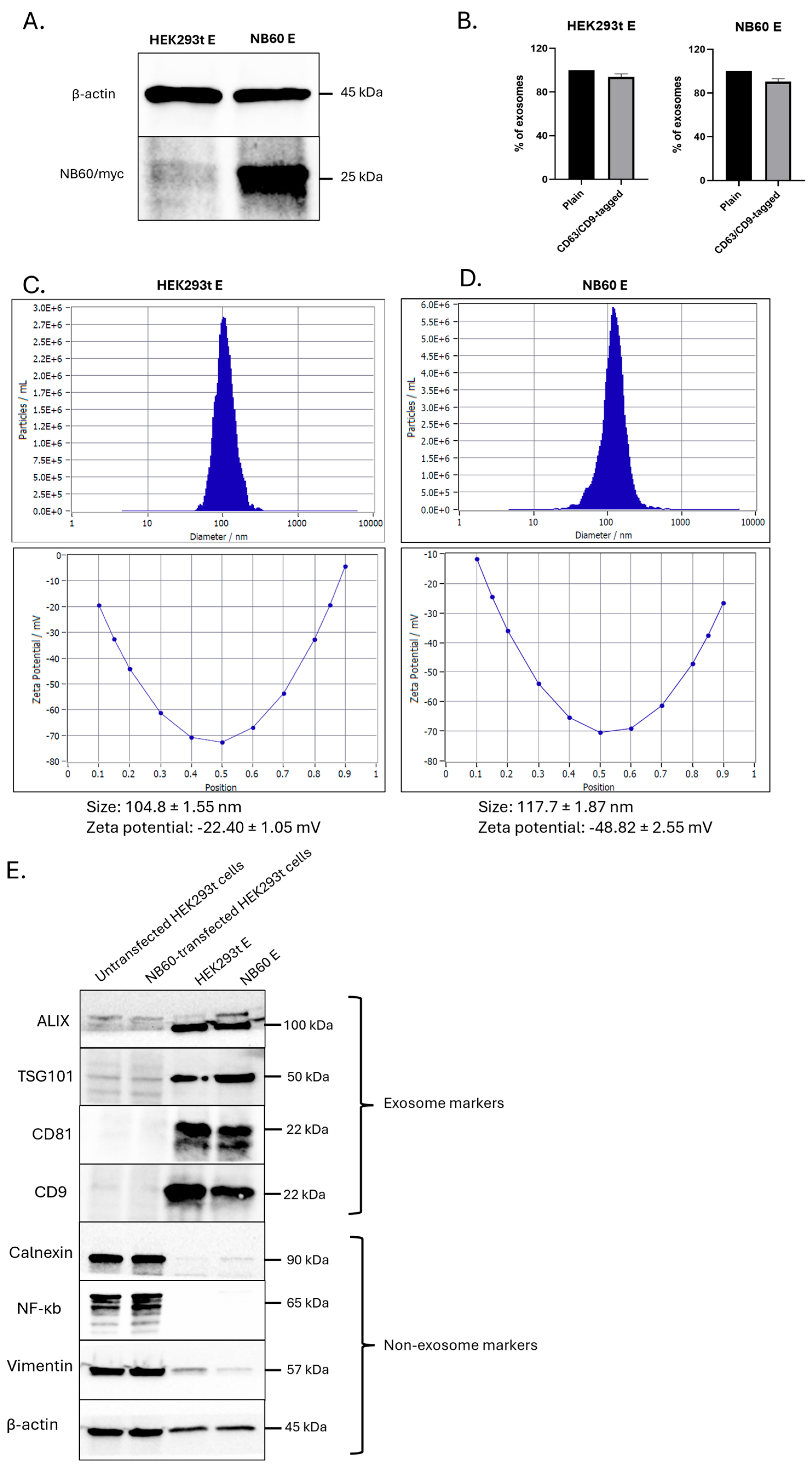 Pharmaceutics 17 01318 g003