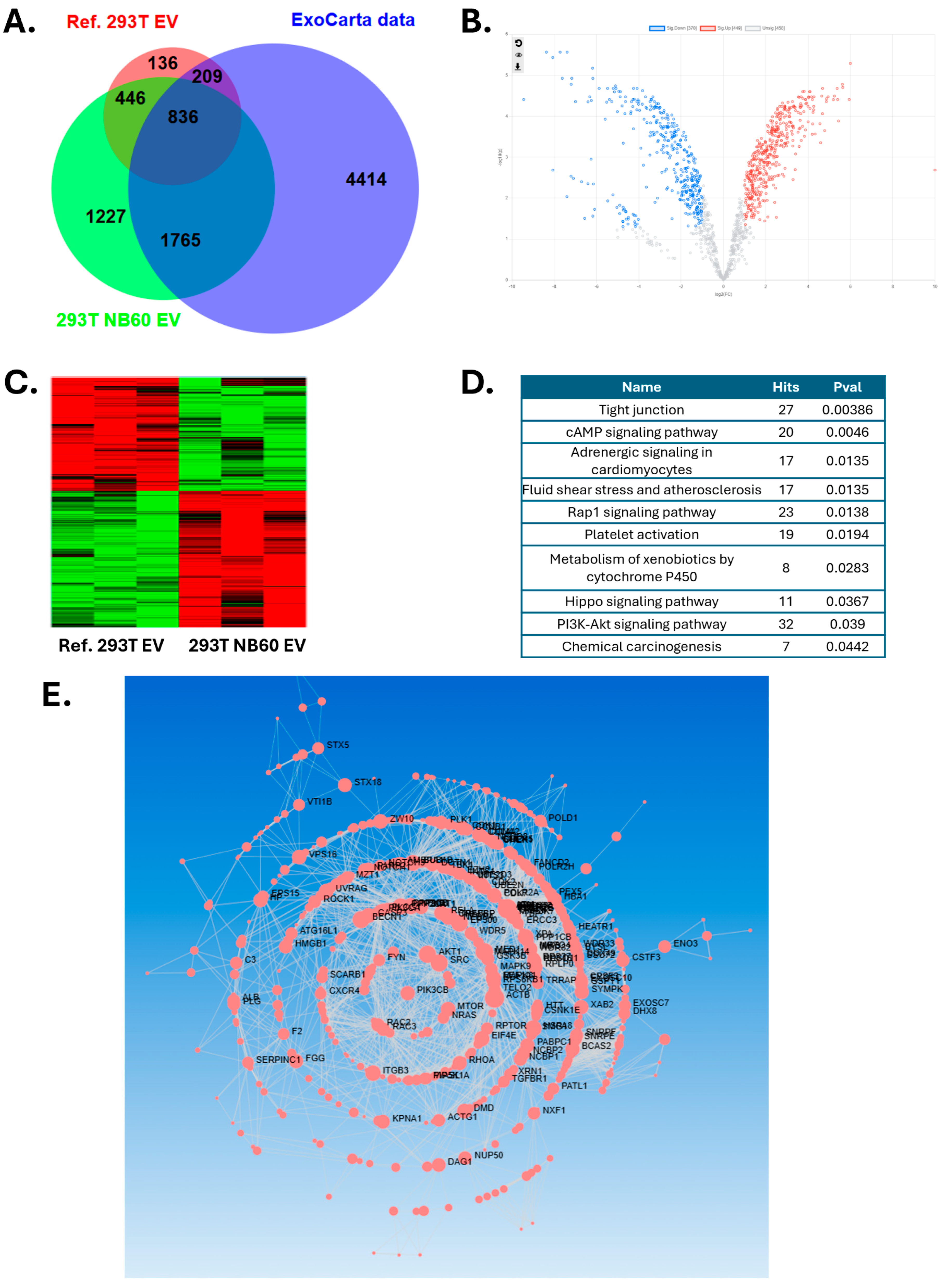 Pharmaceutics 17 01318 g004