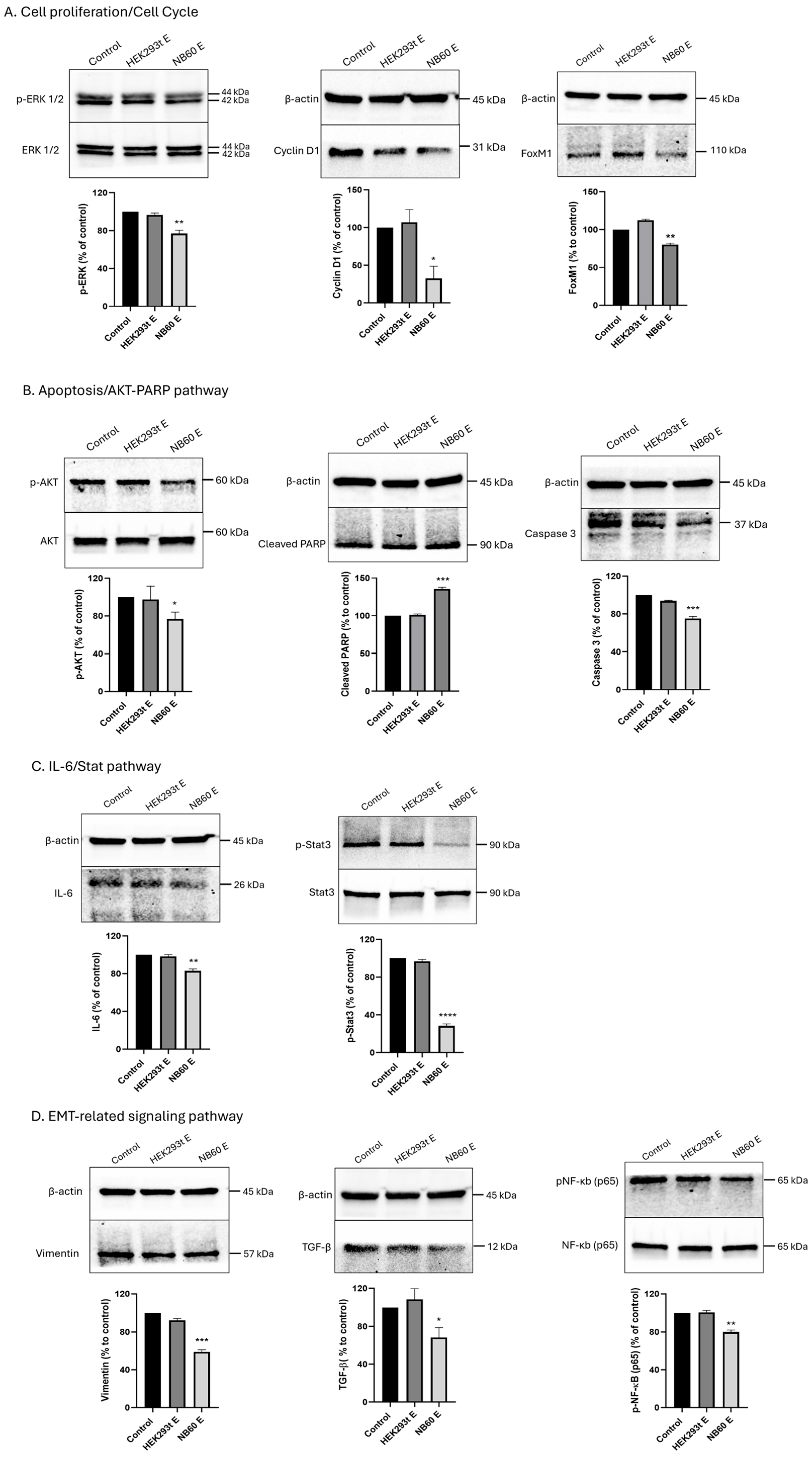Pharmaceutics 17 01318 g006