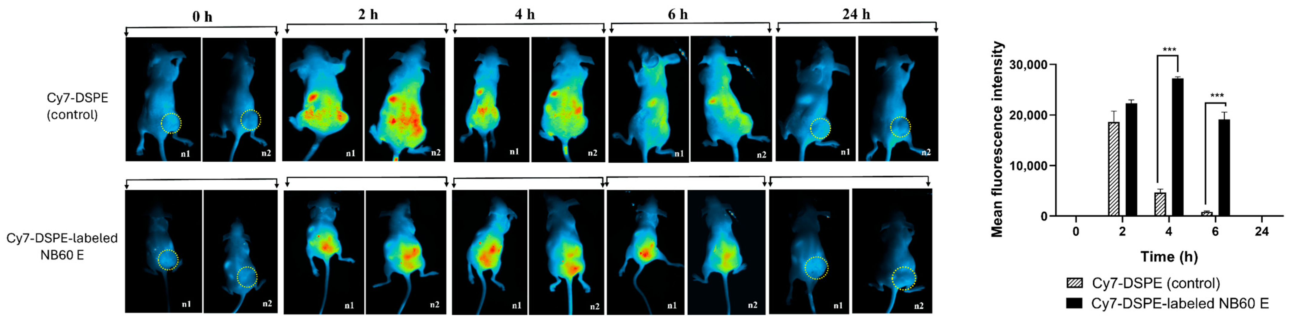 Pharmaceutics 17 01318 g009