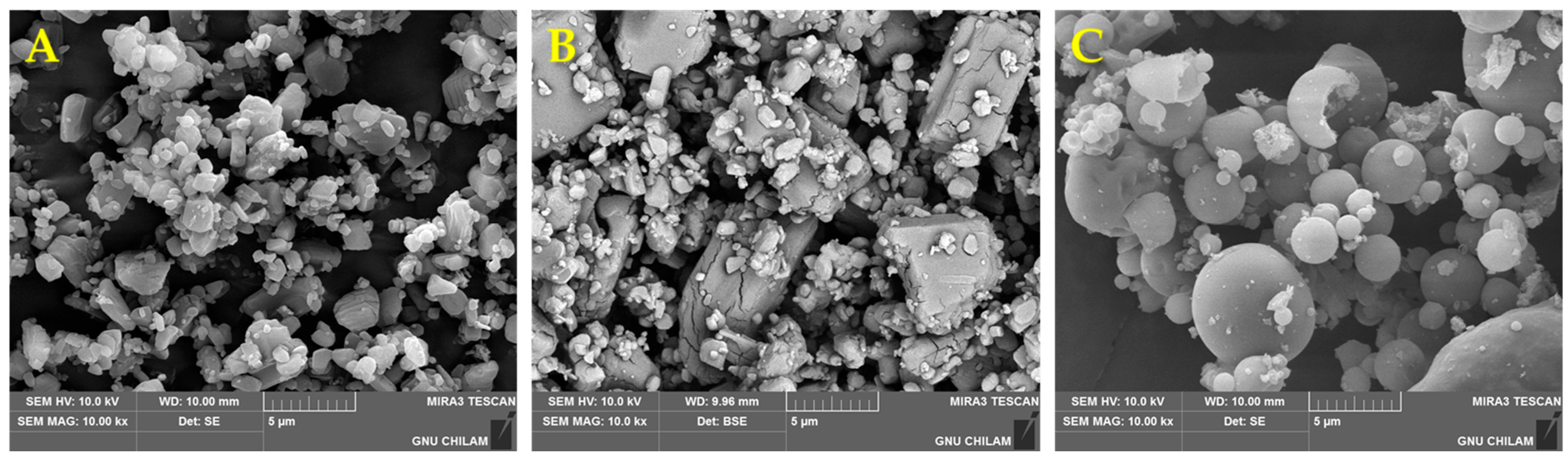 Pharmaceutics 17 01319 g007