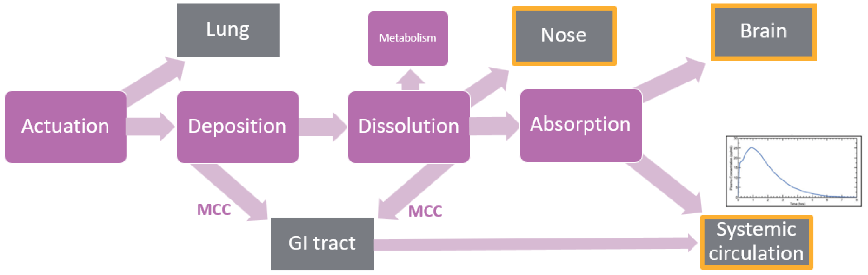 Pharmaceutics 17 01321 g002