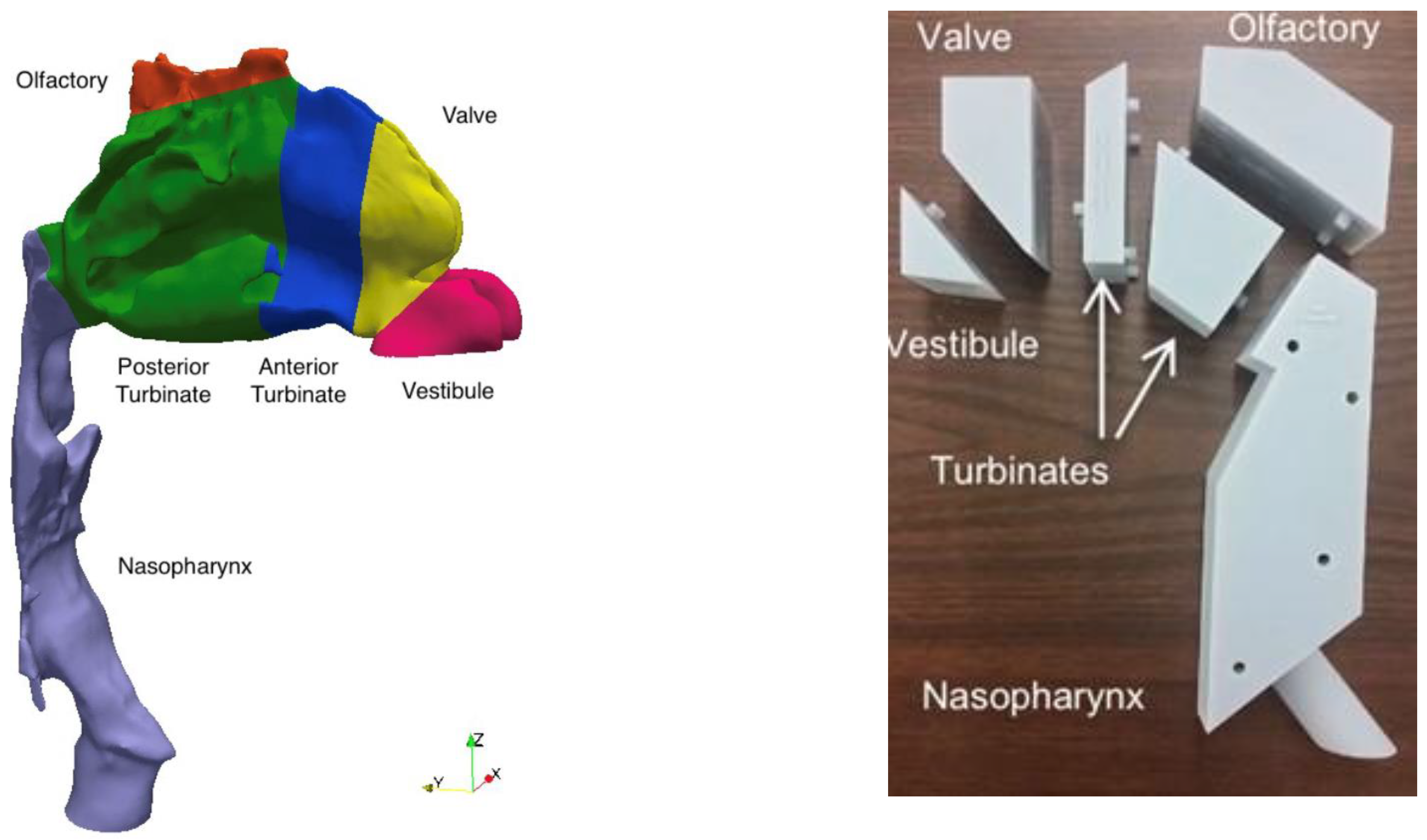 Pharmaceutics 17 01321 g003