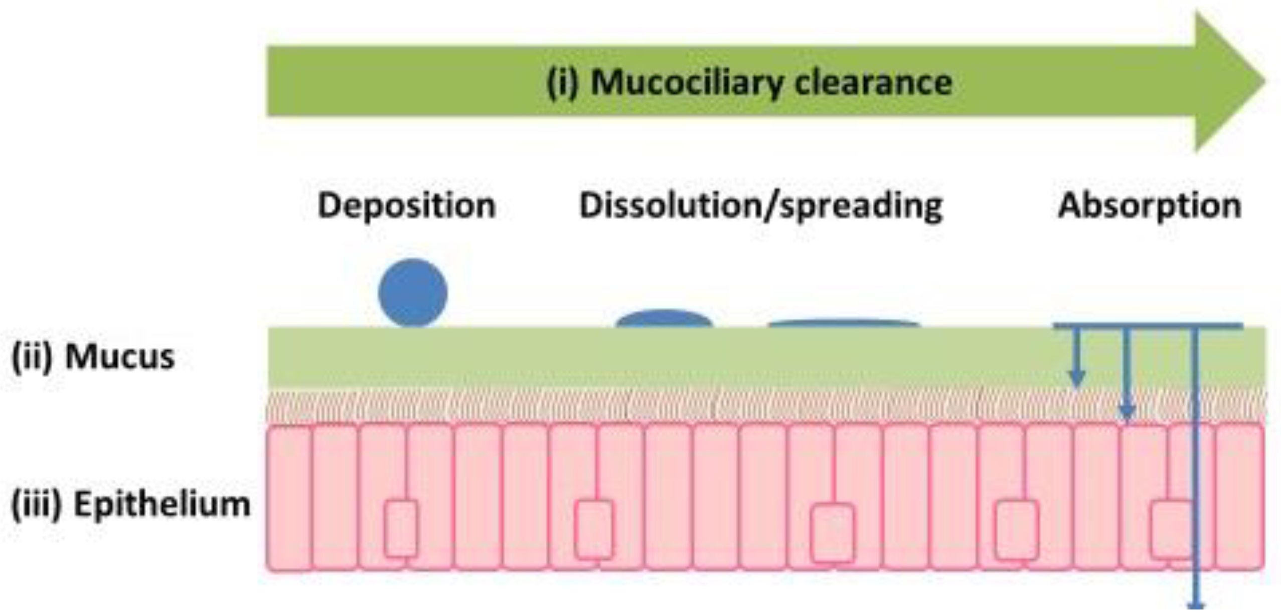 Pharmaceutics 17 01321 g004