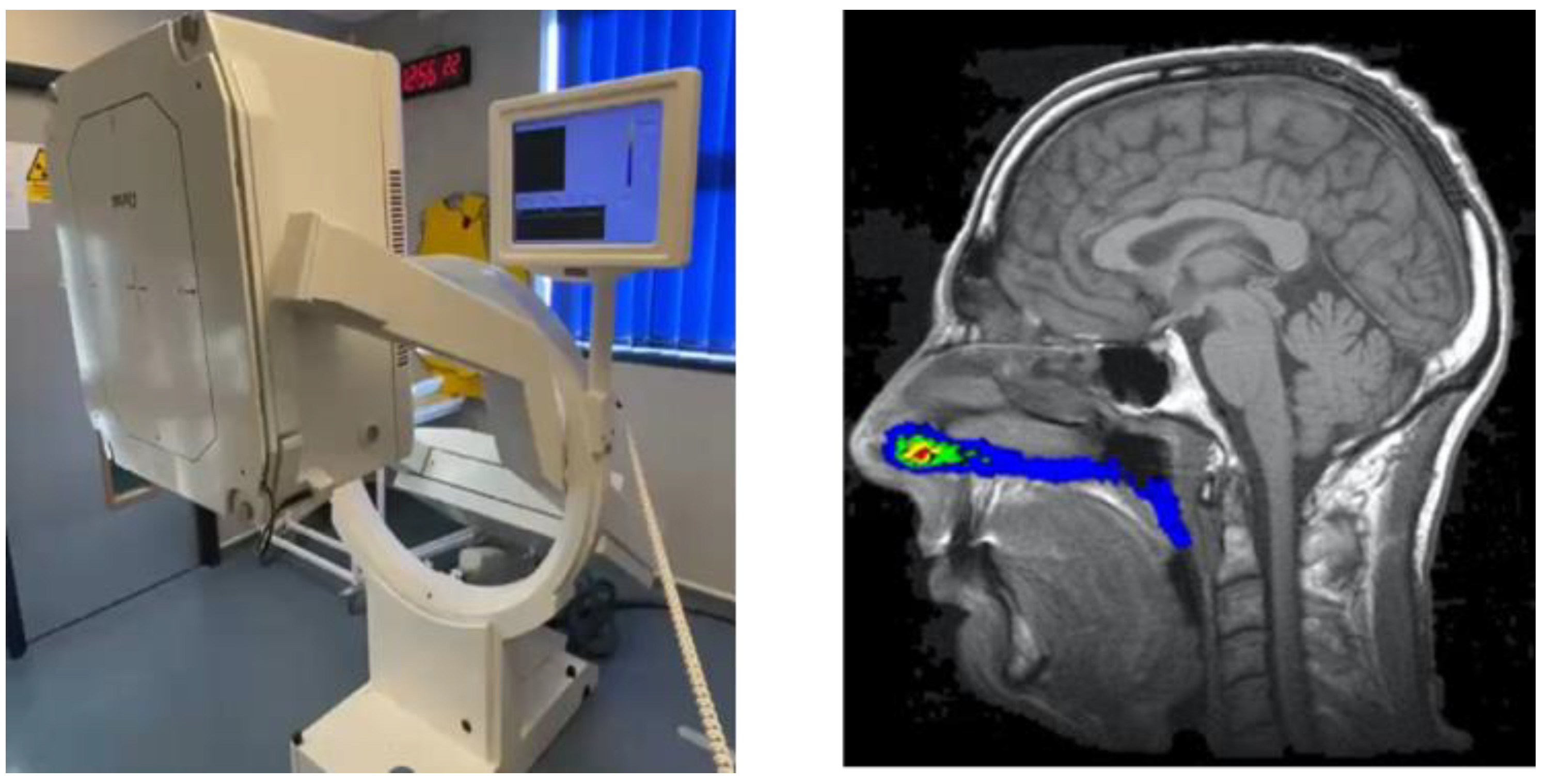 Pharmaceutics 17 01321 g005