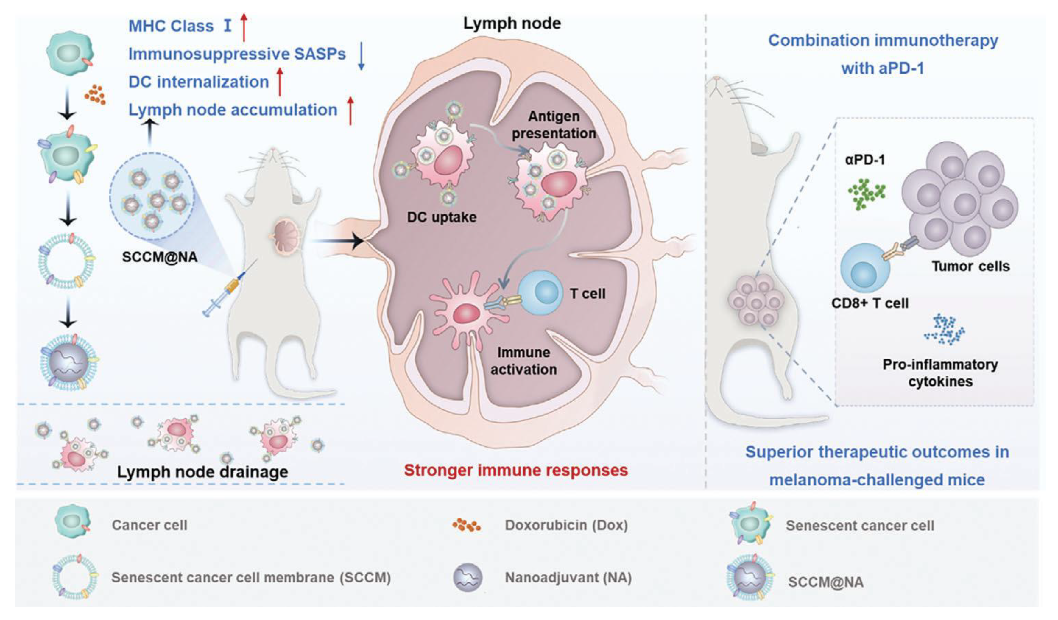 Pharmaceutics 17 01322 g001