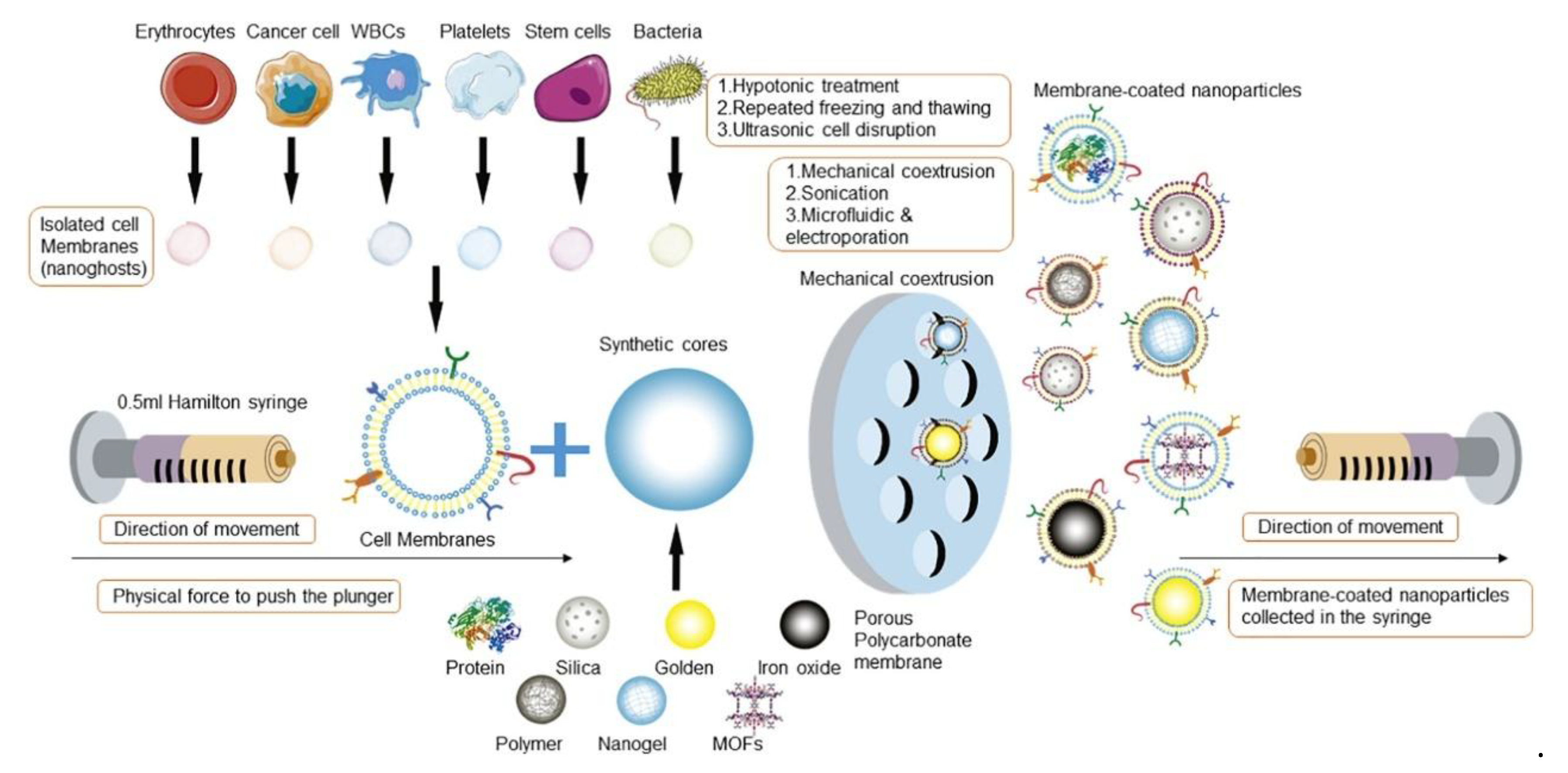 Pharmaceutics 17 01322 g002