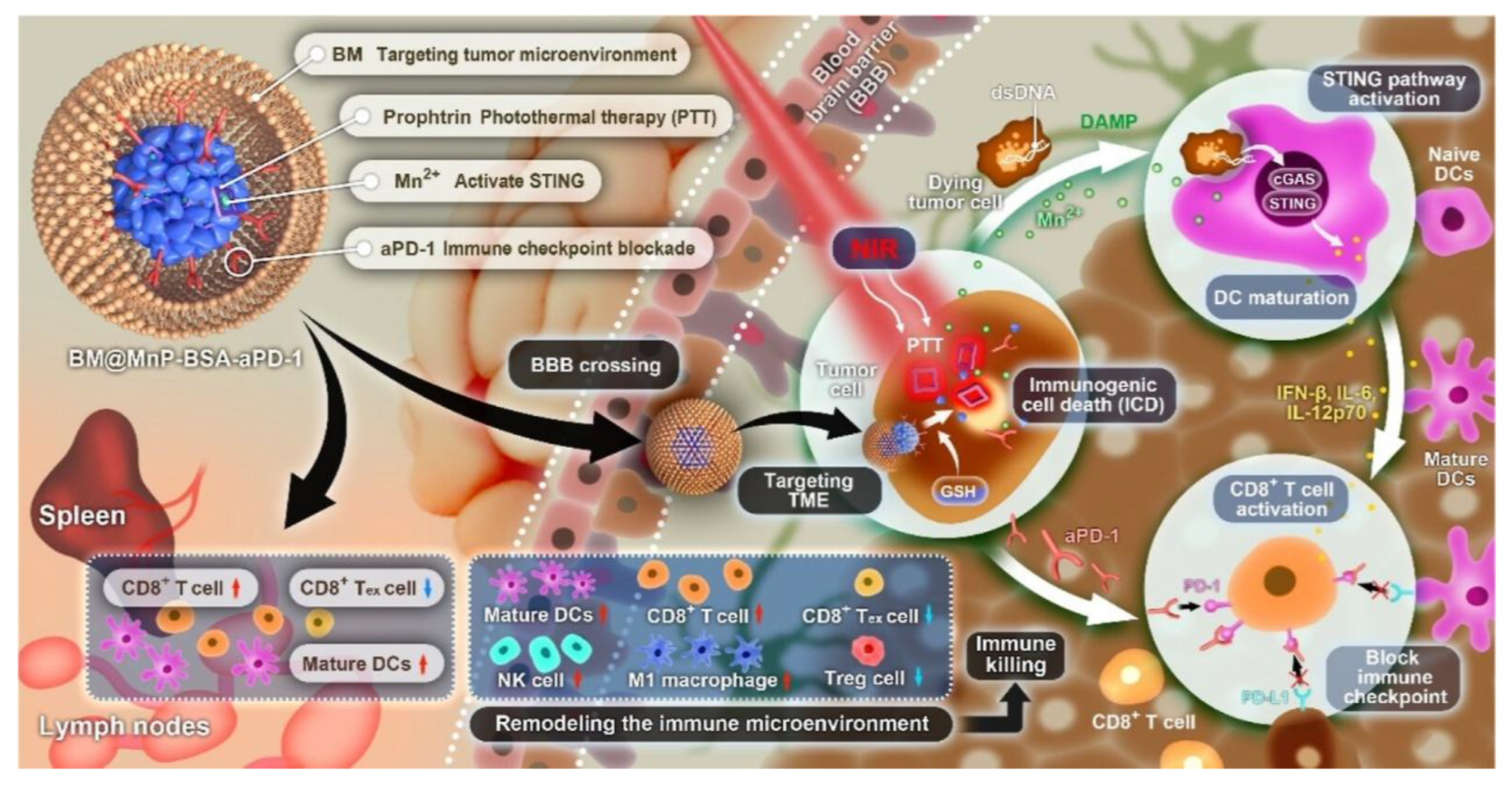 Pharmaceutics 17 01322 g003