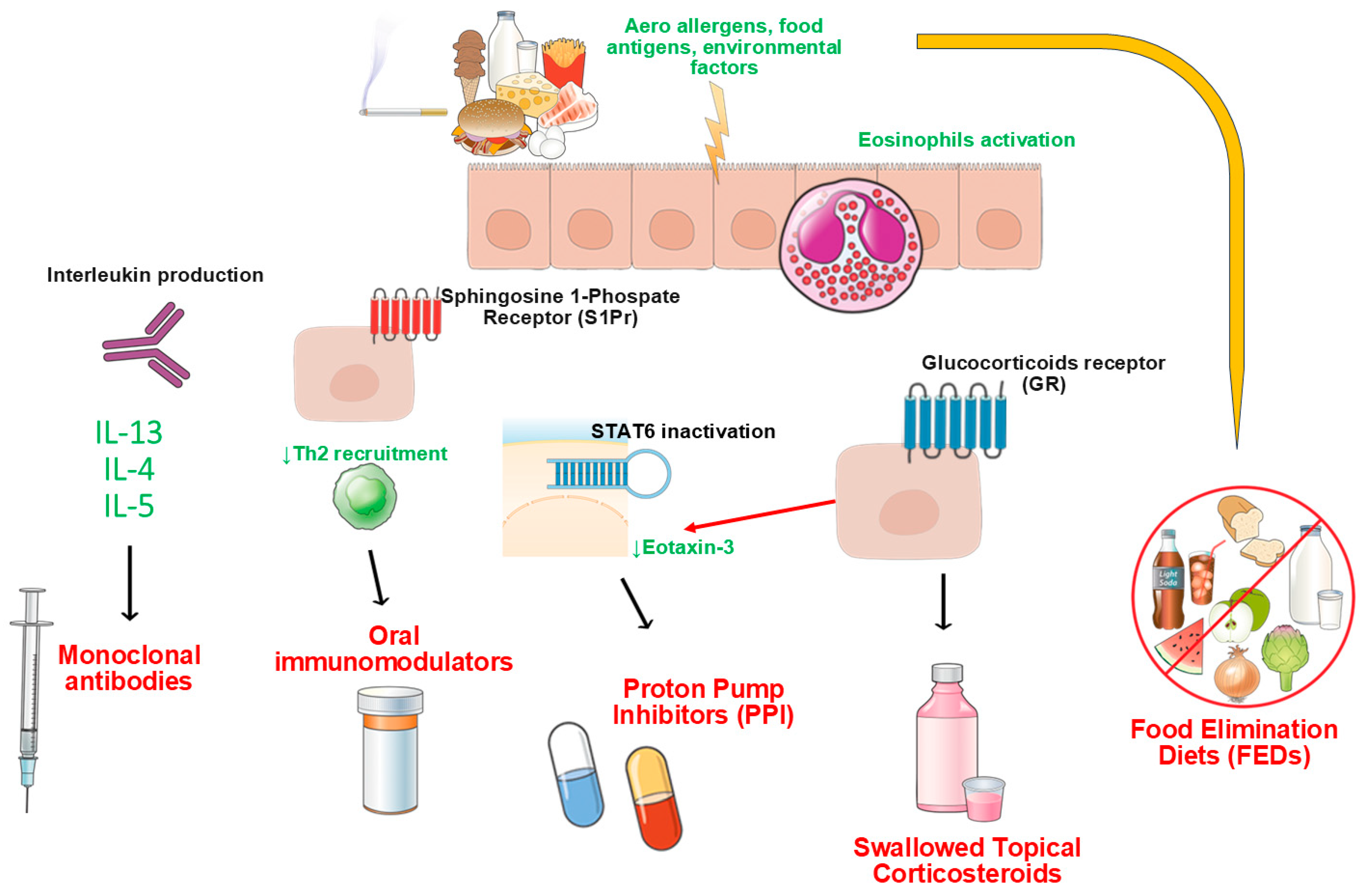 Pharmaceutics 17 01325 g001 Pharmaceutics 17 01325 g001