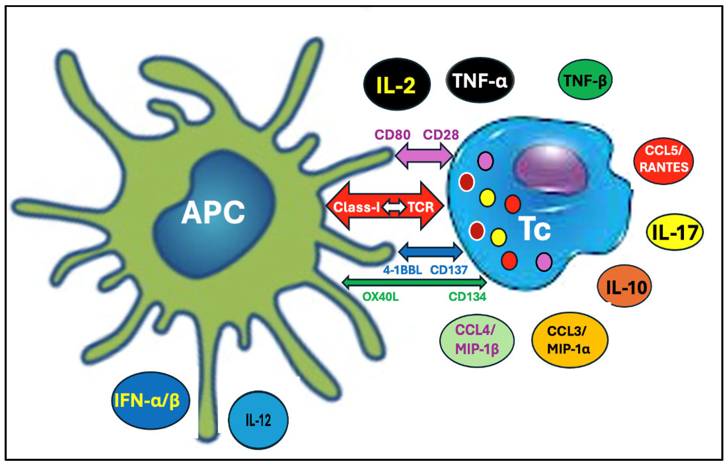 Pharmaceutics 17 01327 g003