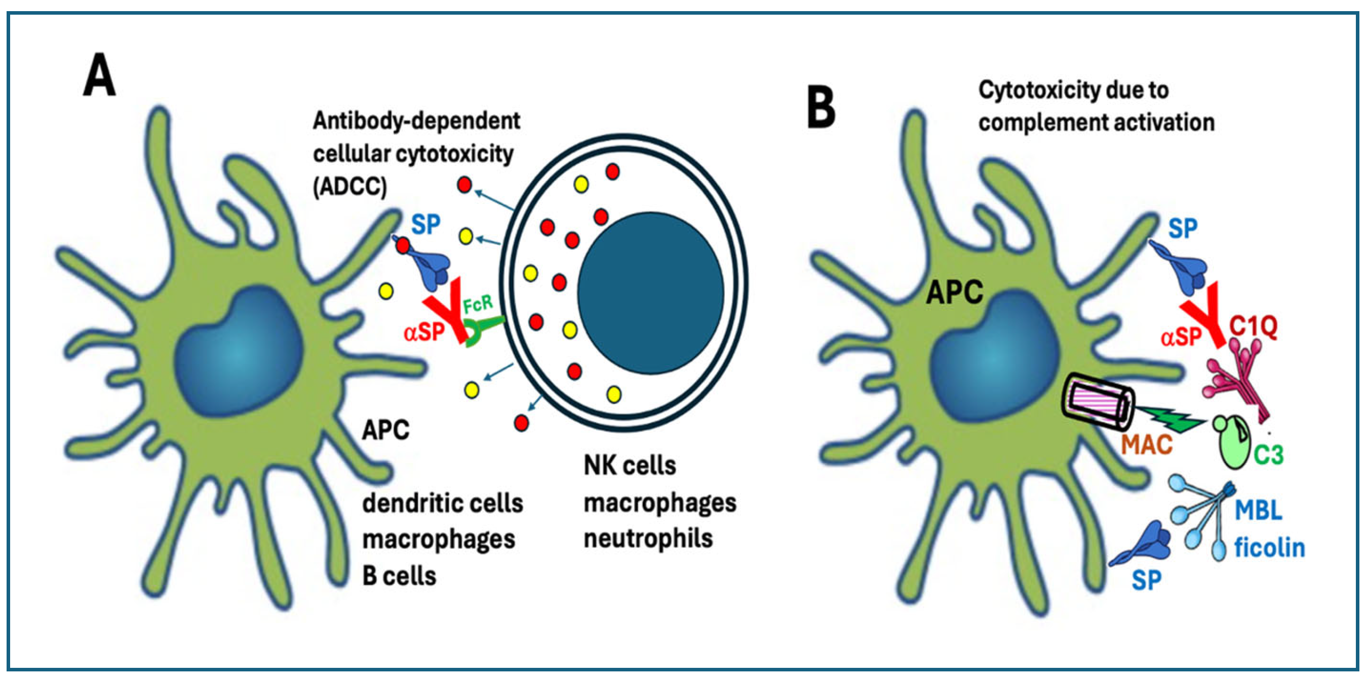 Pharmaceutics 17 01327 g004