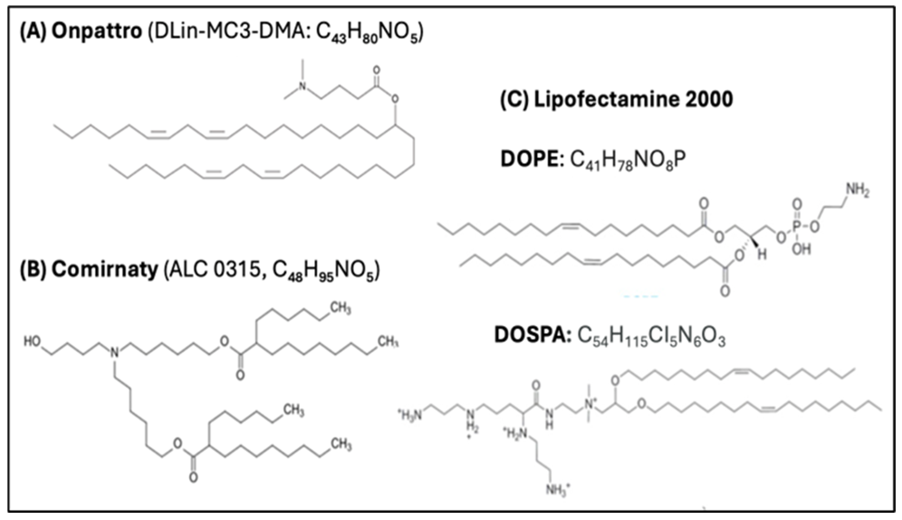 Pharmaceutics 17 01327 g006