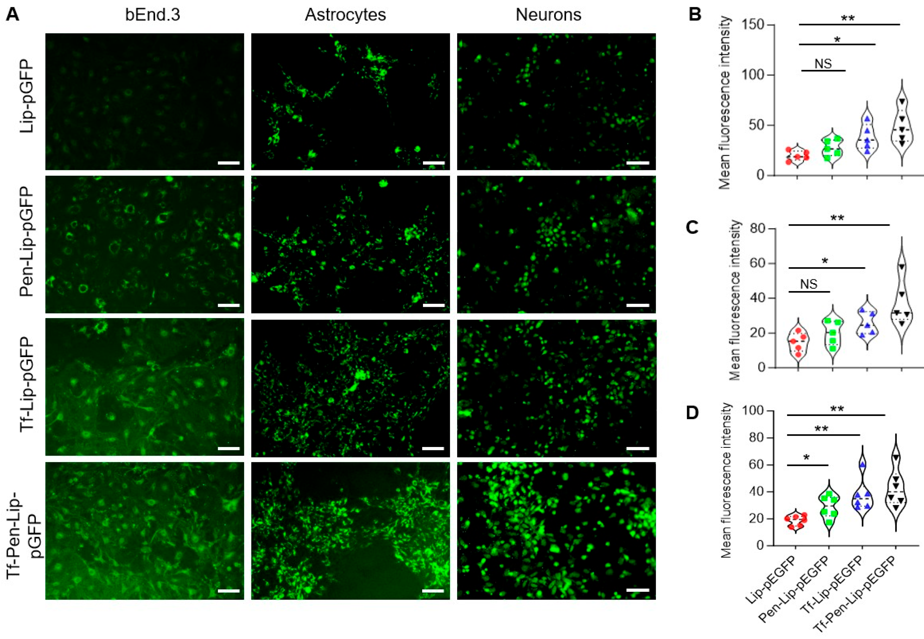 Pharmaceutics 17 01329 g003