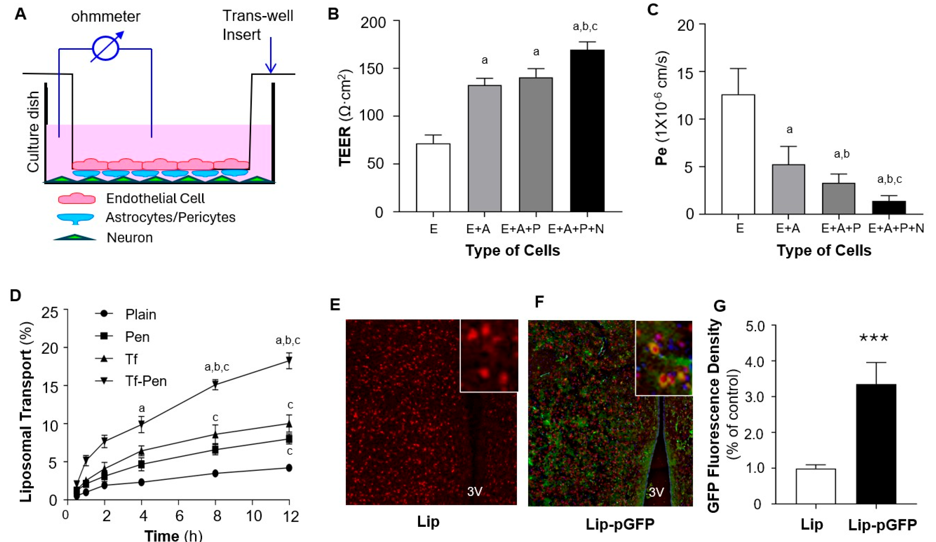 Pharmaceutics 17 01329 g004