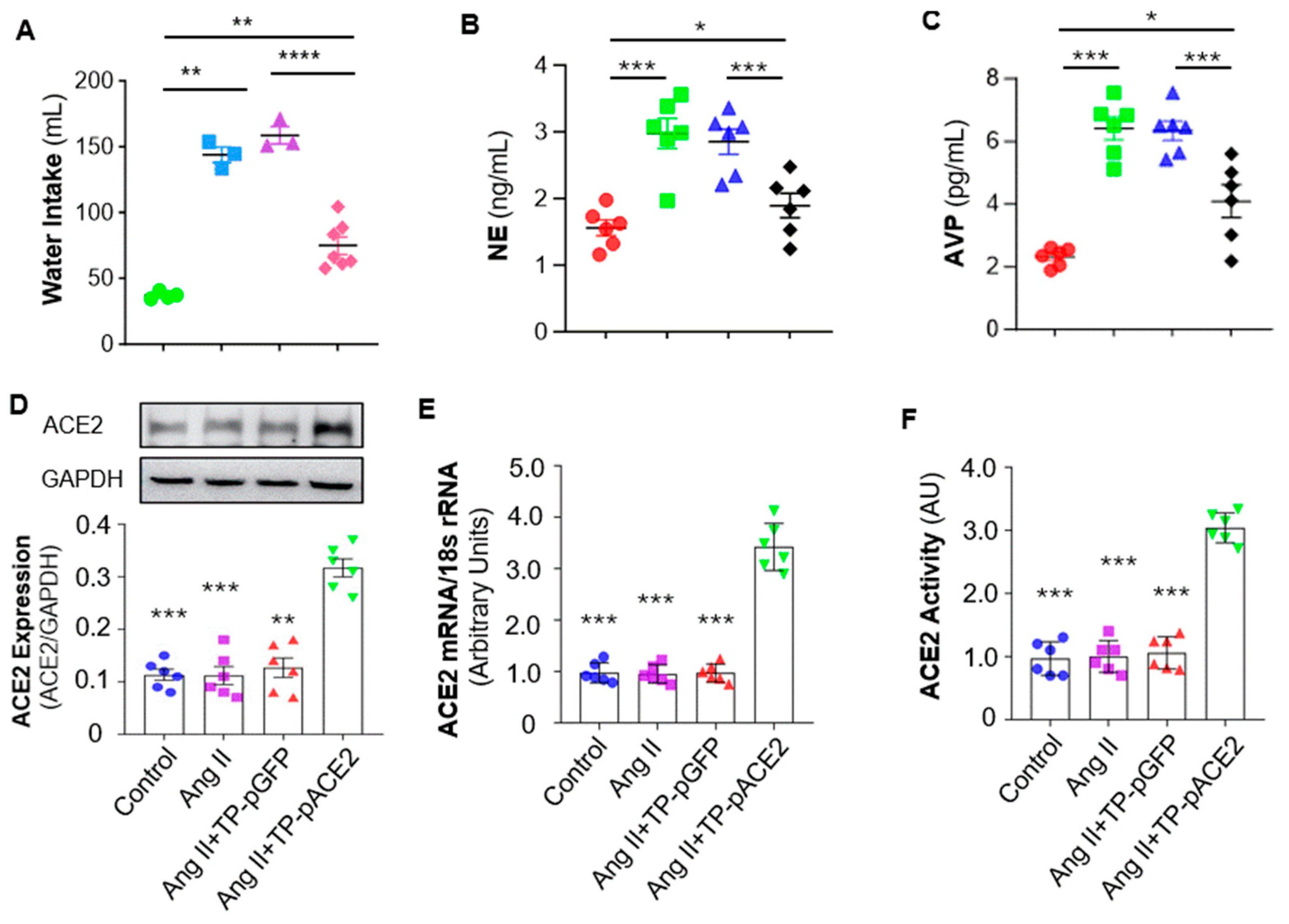 Pharmaceutics 17 01329 g006