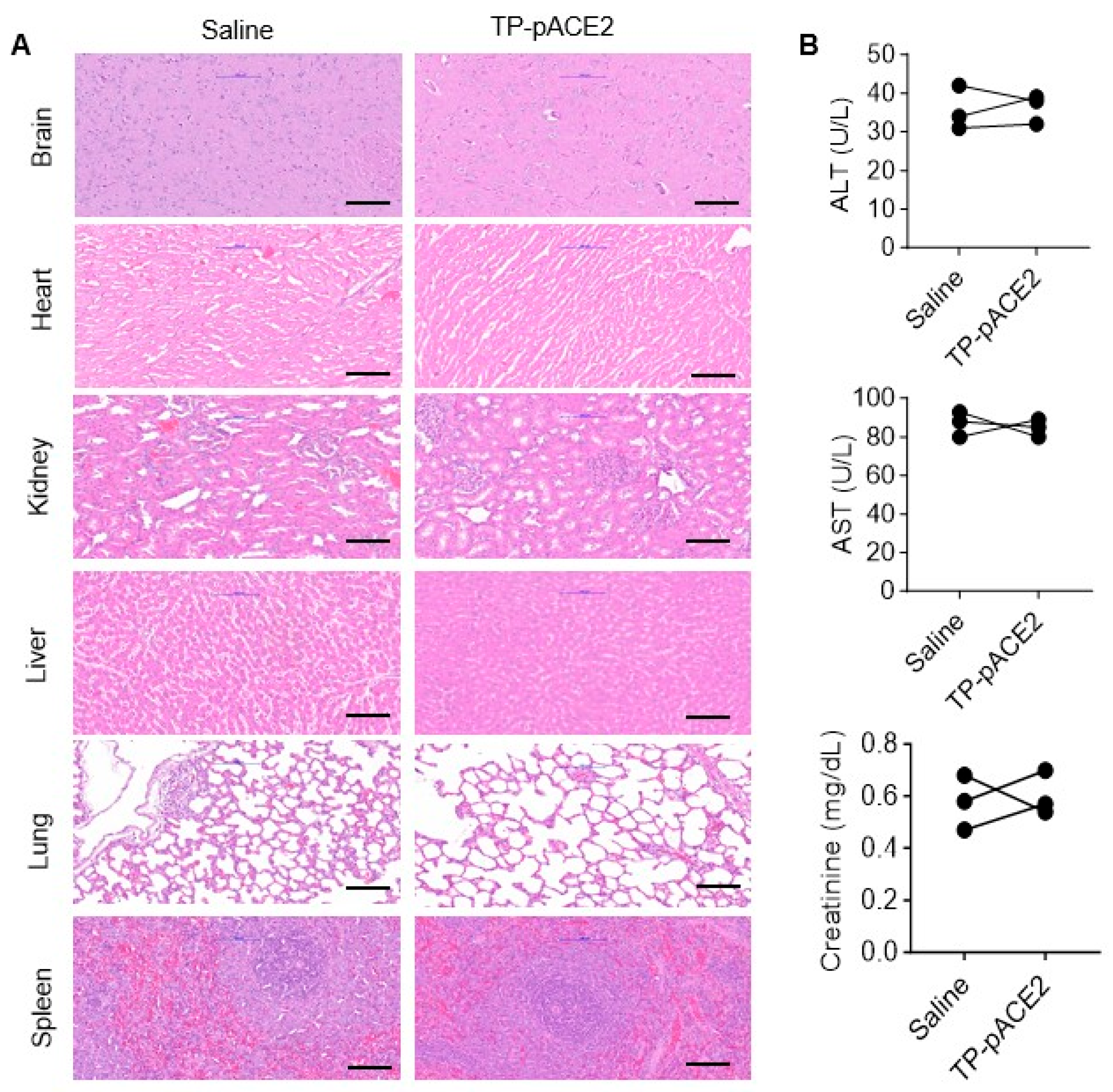 Pharmaceutics 17 01329 g007