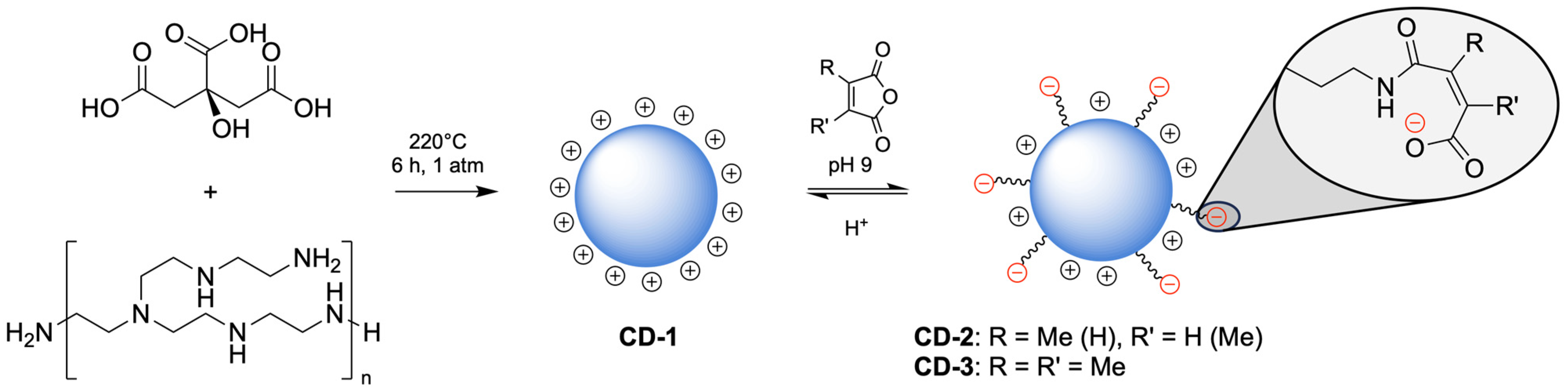 Pharmaceutics 17 01330 sch002