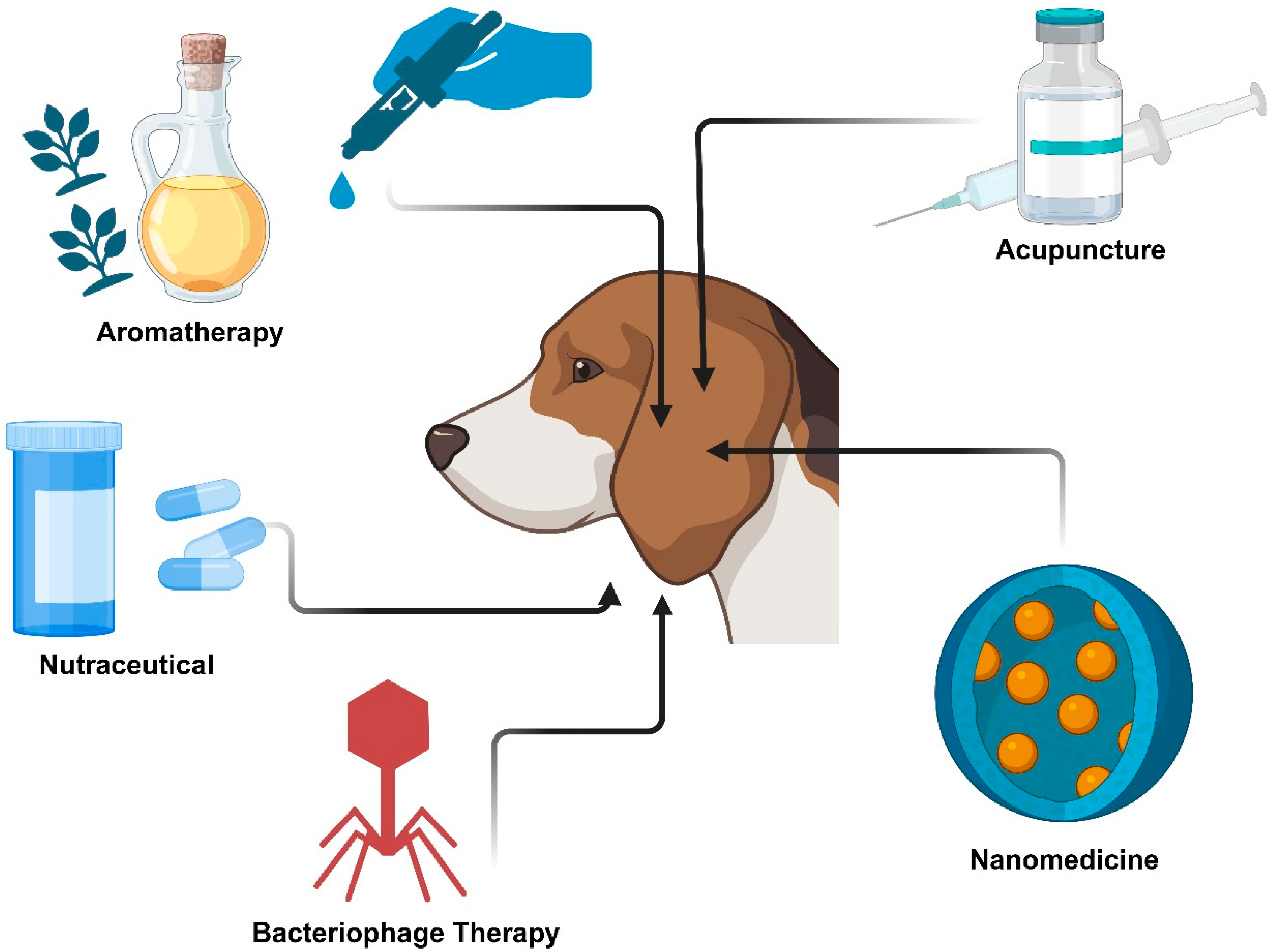 Pharmaceutics 17 01332 g002 Pharmaceutics 17 01332 g002